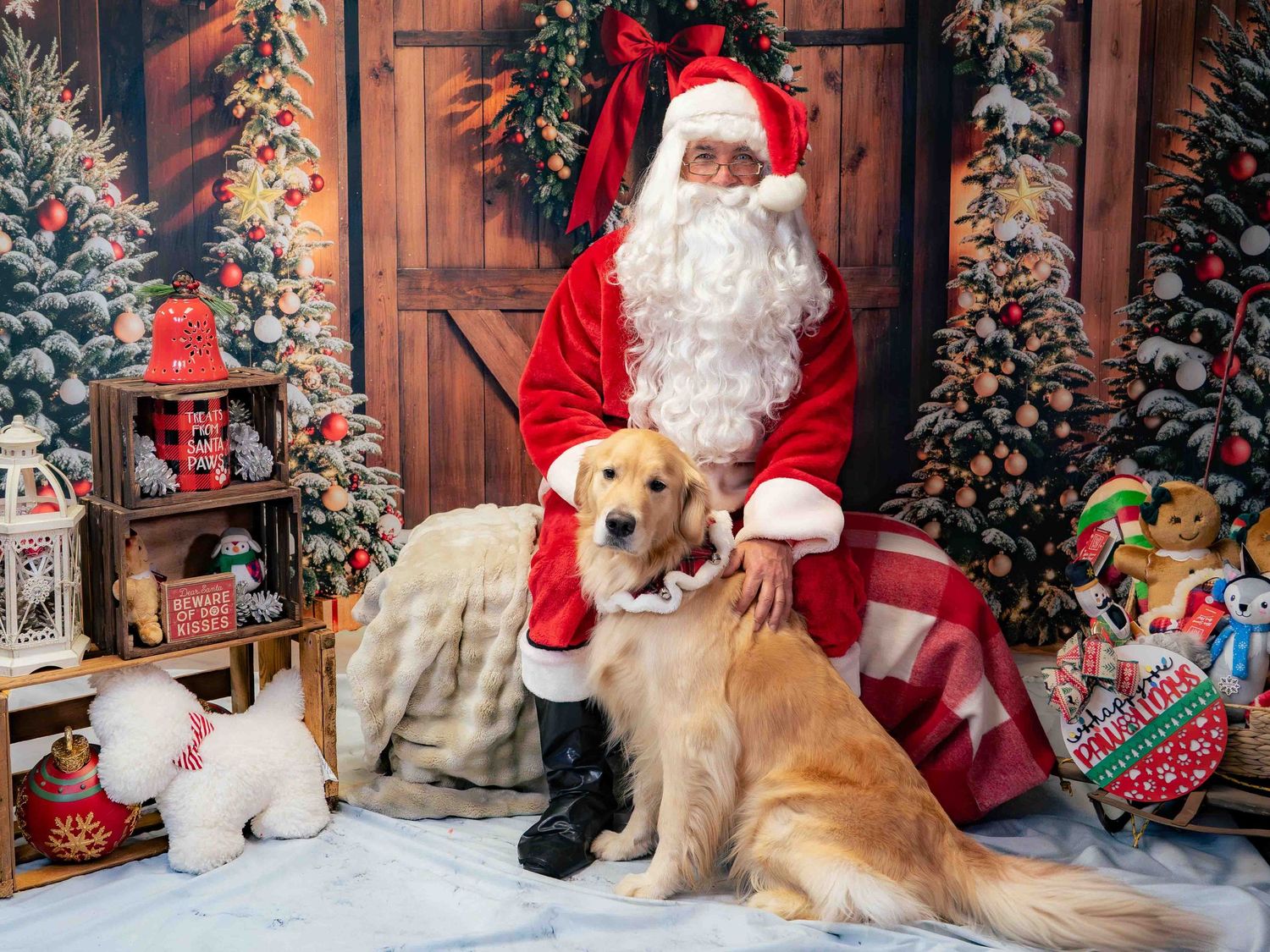 Golden retriever poses with Santa Claus in festive Christmas photo studio with decorated trees and holiday gifts.