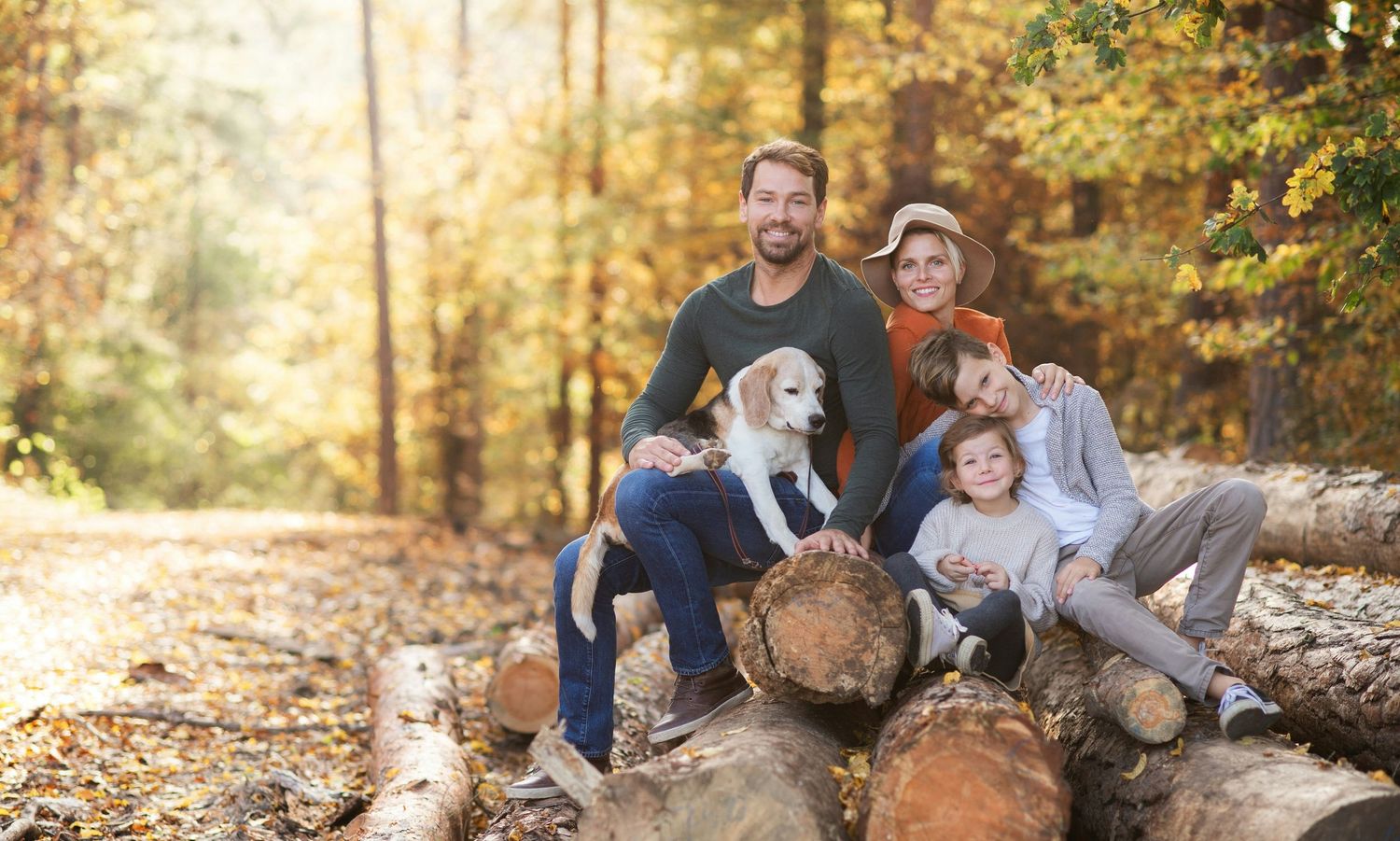 Family with dog sitting on logs in autumn forest, surrounded by golden fall foliage on a sunny day.
