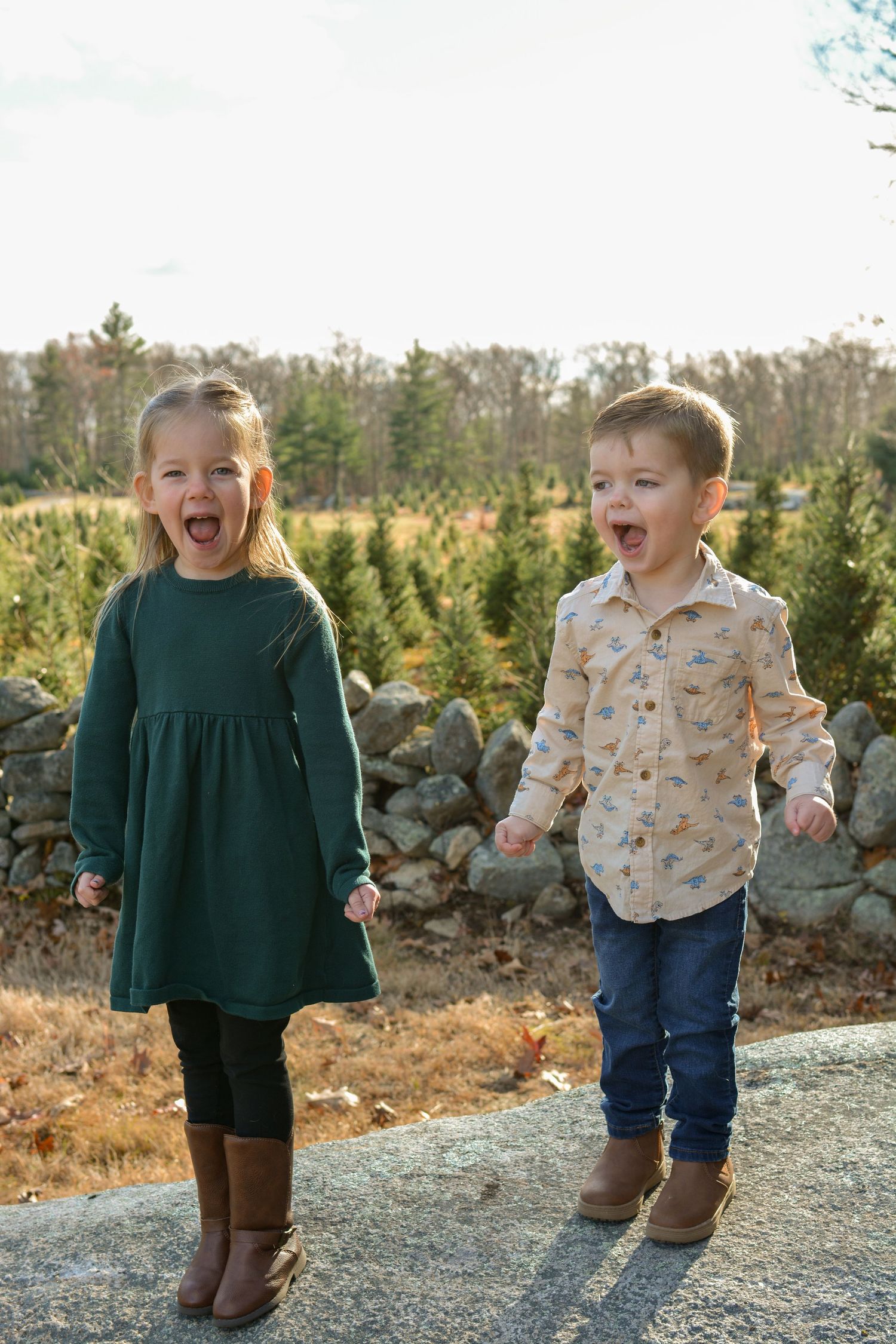 family holiday mini session. photography Christmas card session at Christmas tree farm in Central Massachusetts