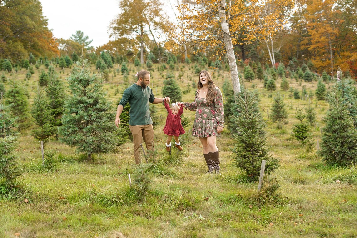 family holiday mini session. photography Christmas card session at Christmas tree farm in Central Massachusetts