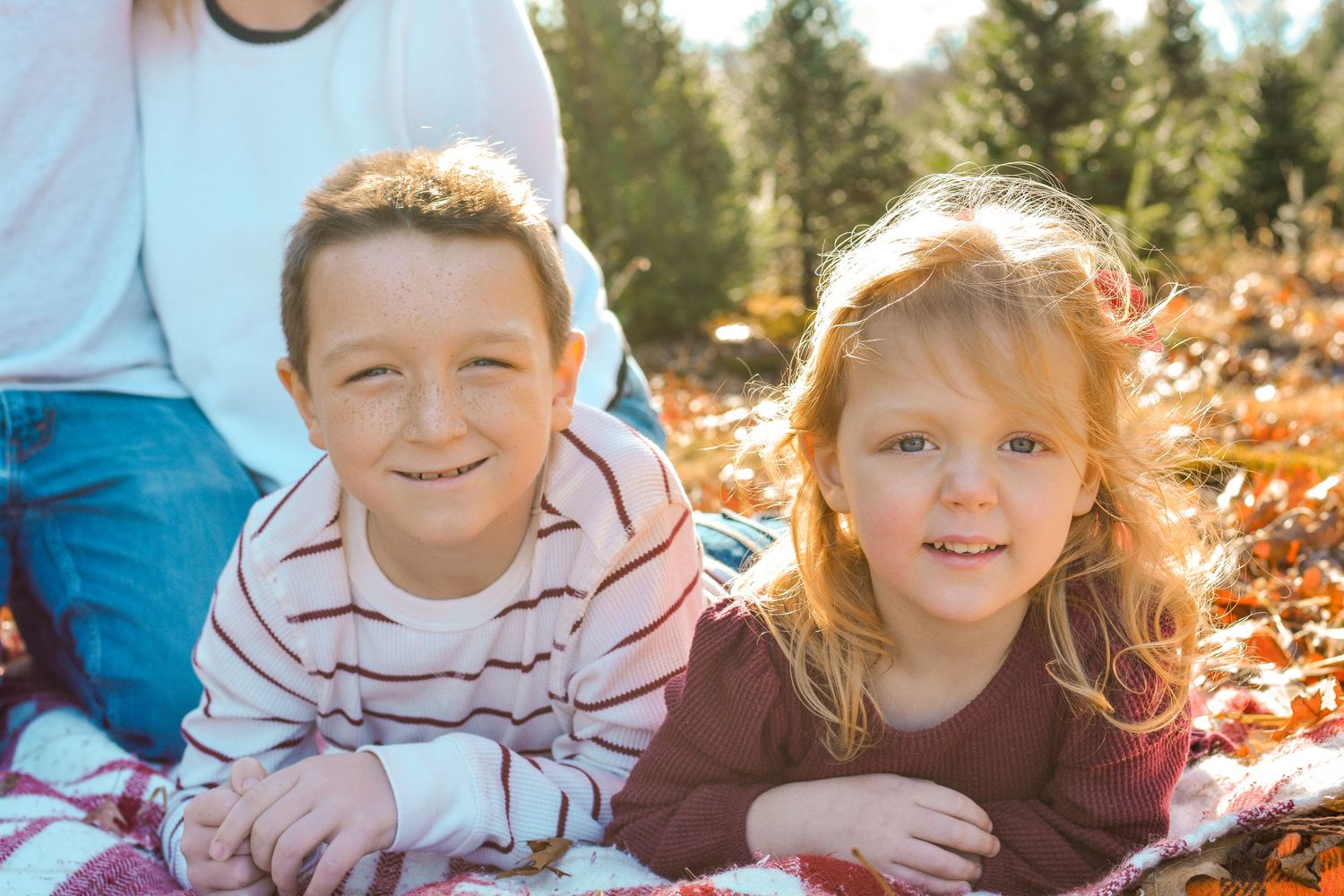 family holiday mini session. photography Christmas card session at Christmas tree farm in Central Massachusetts