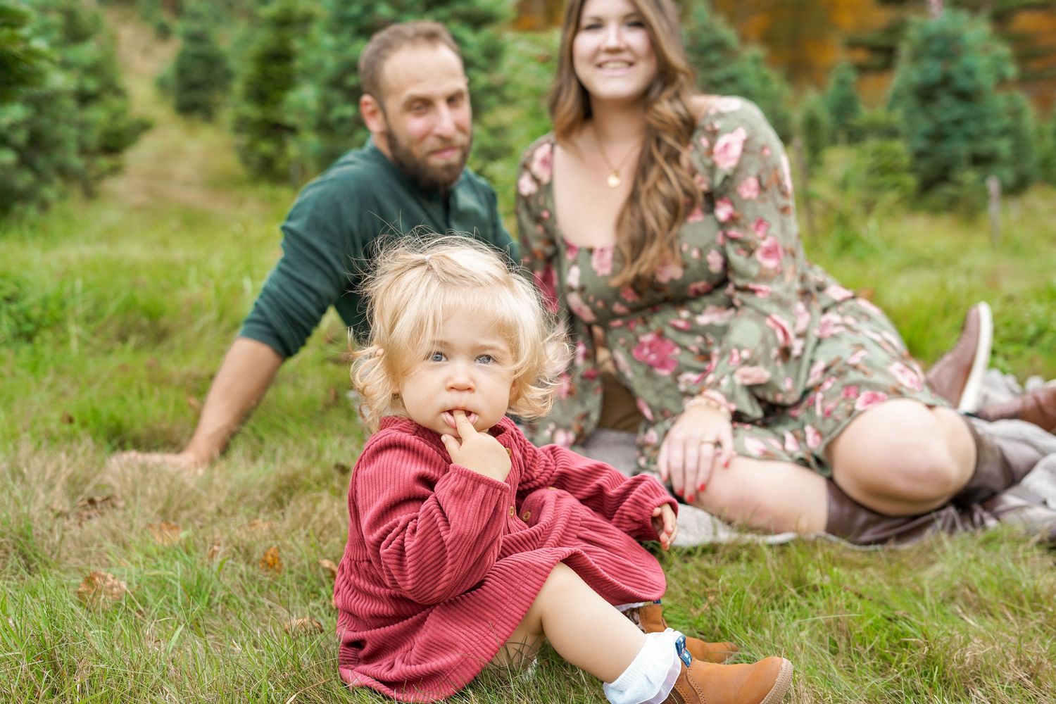 family holiday mini session. photography Christmas card session at Christmas tree farm in Central Massachusetts