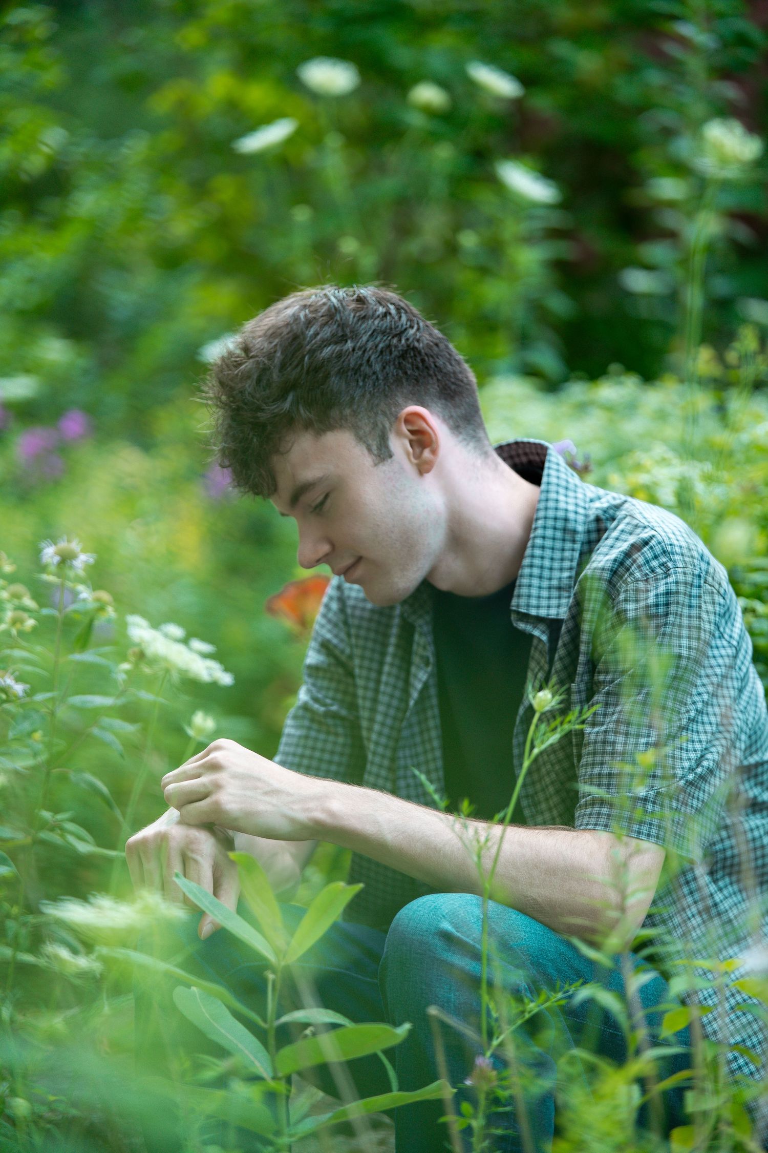 Young man in plaid shirt crouching among lush green garden plants, carefully examining foliage outdoors.
