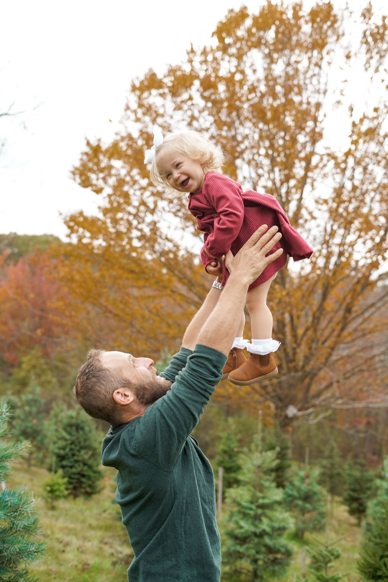 Father joyfully lifting smiling toddler girl in red dress at autumn Christmas tree farm. Auburn MA Mini Session