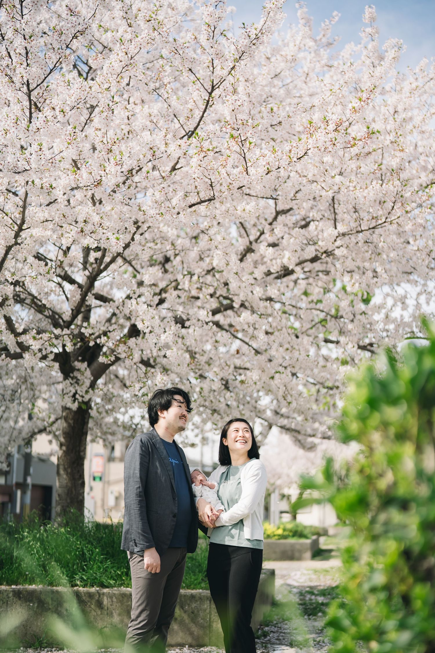桜の咲く公園で寄り添うご夫婦の記念写真