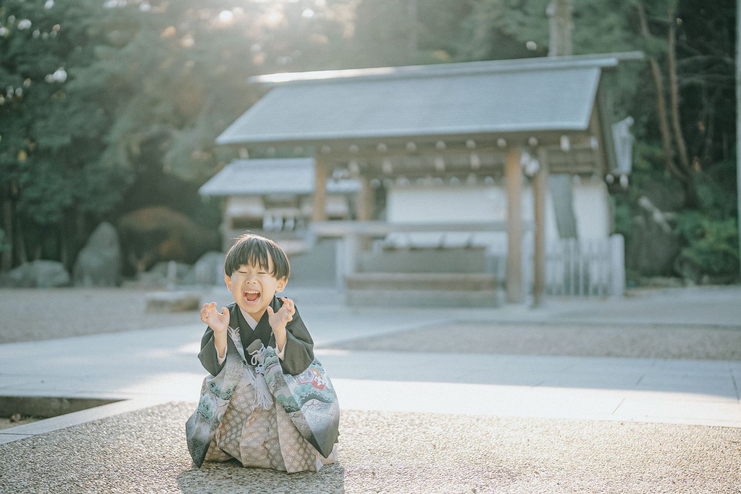 神社でやさしく微笑む男の子の七五三ポートレート