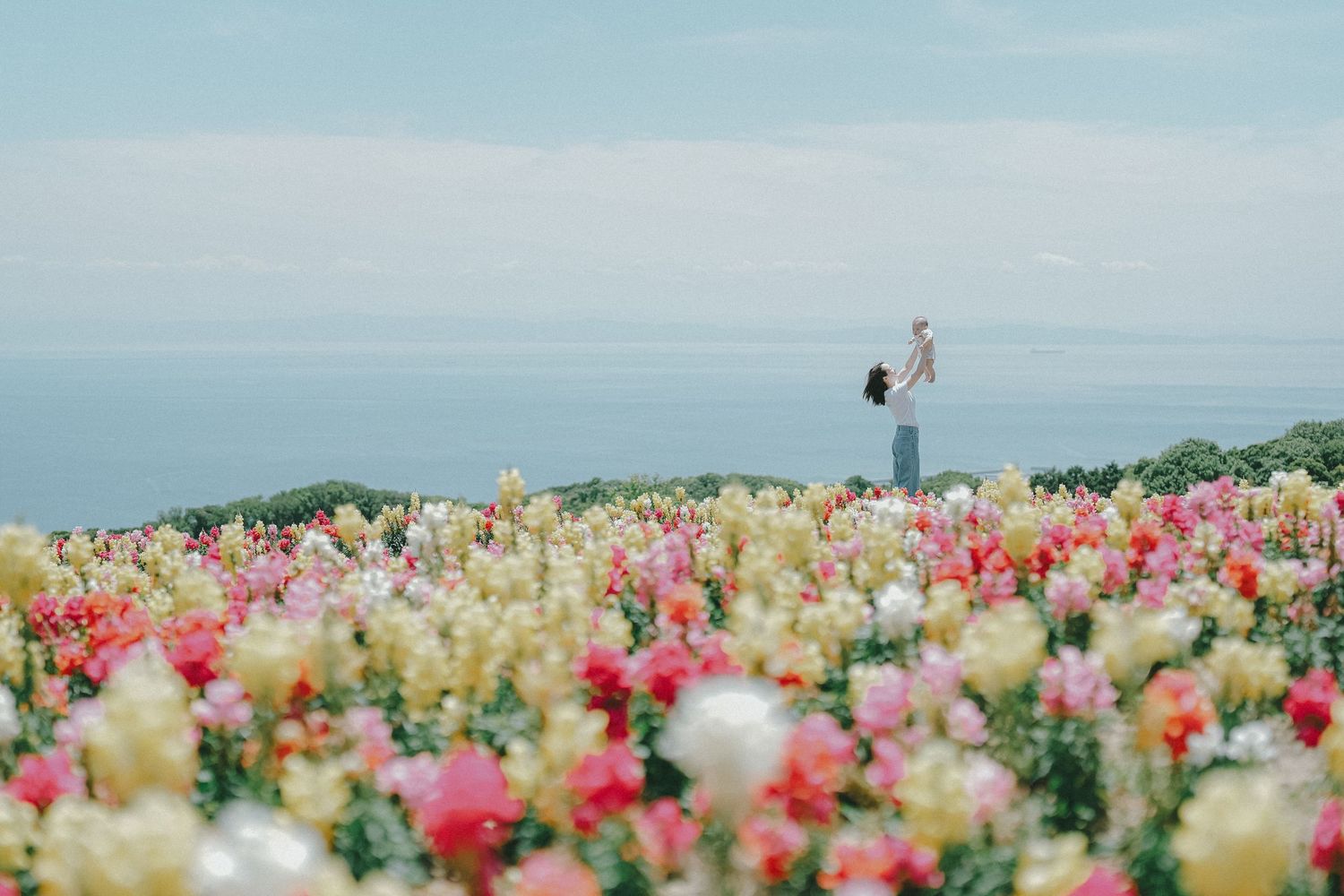 花畑の向こうに子供を抱きかかえる母親が見える風景写真
