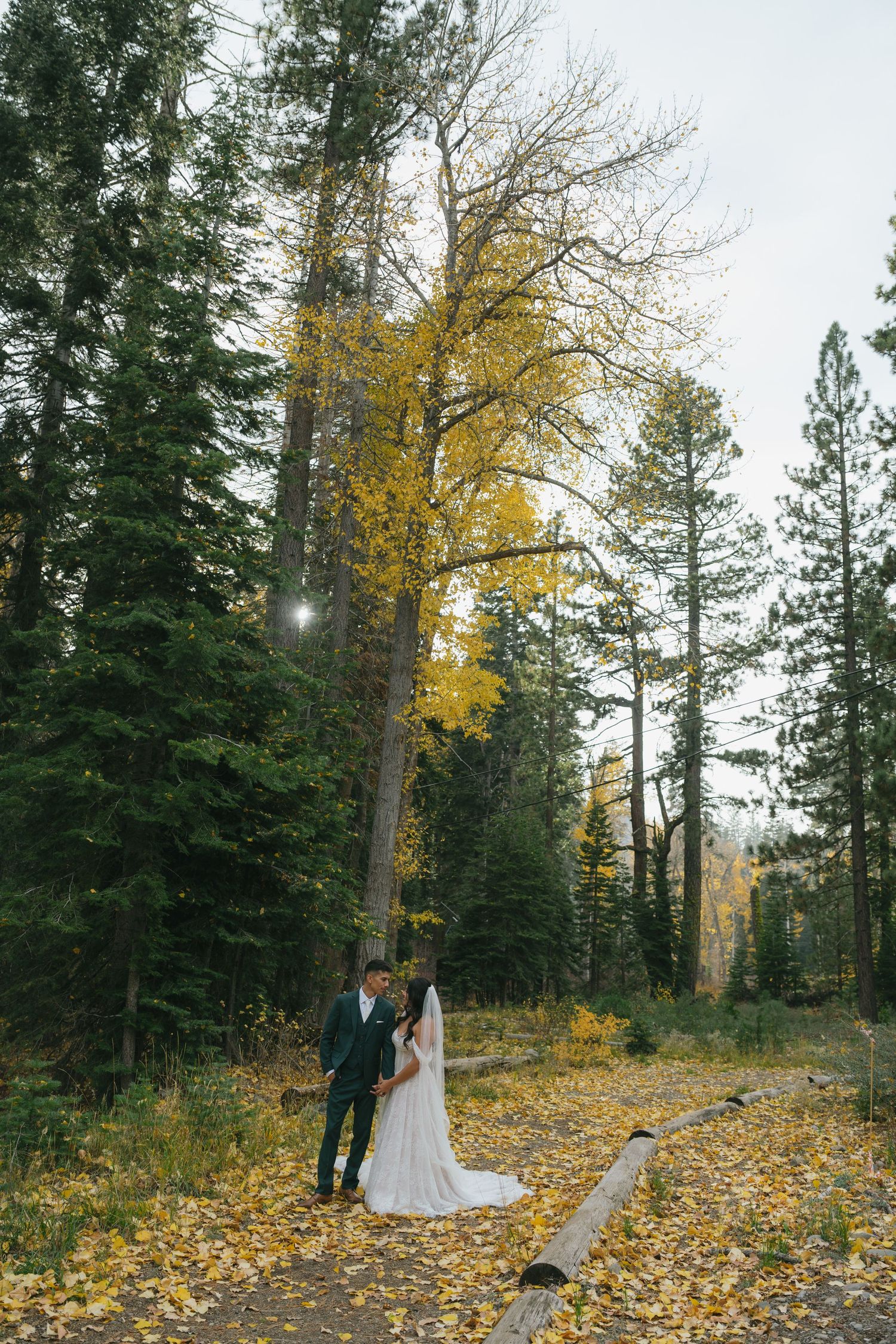 san diego wedding photographer lake tahoe elopement couple mountain portraits alpine wedding photography