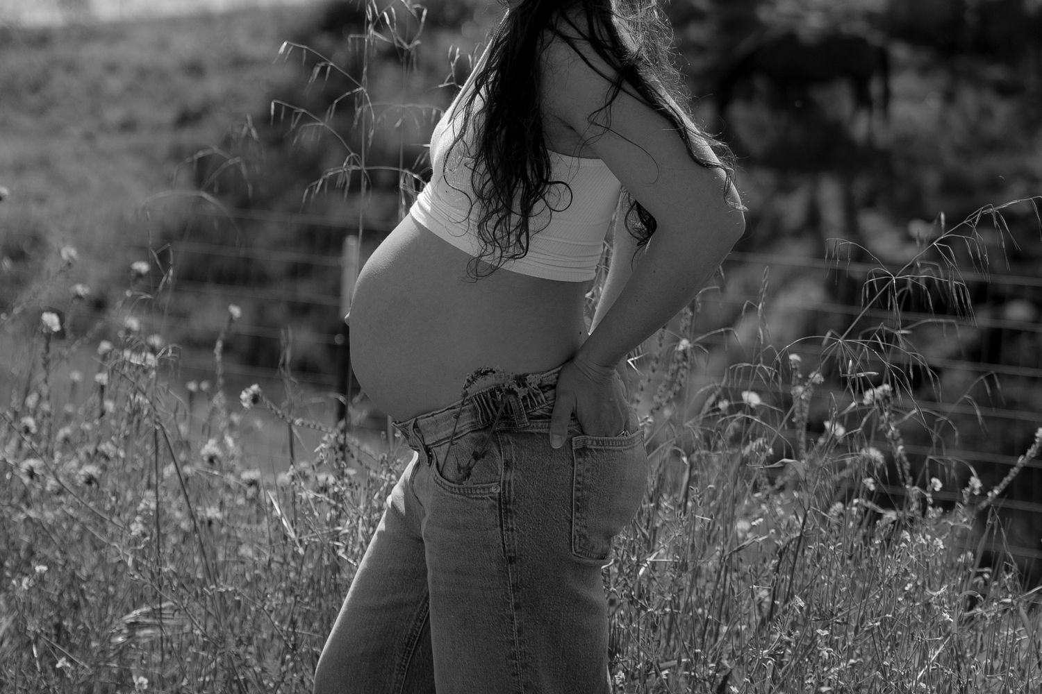 california maternity photography natural light portraits