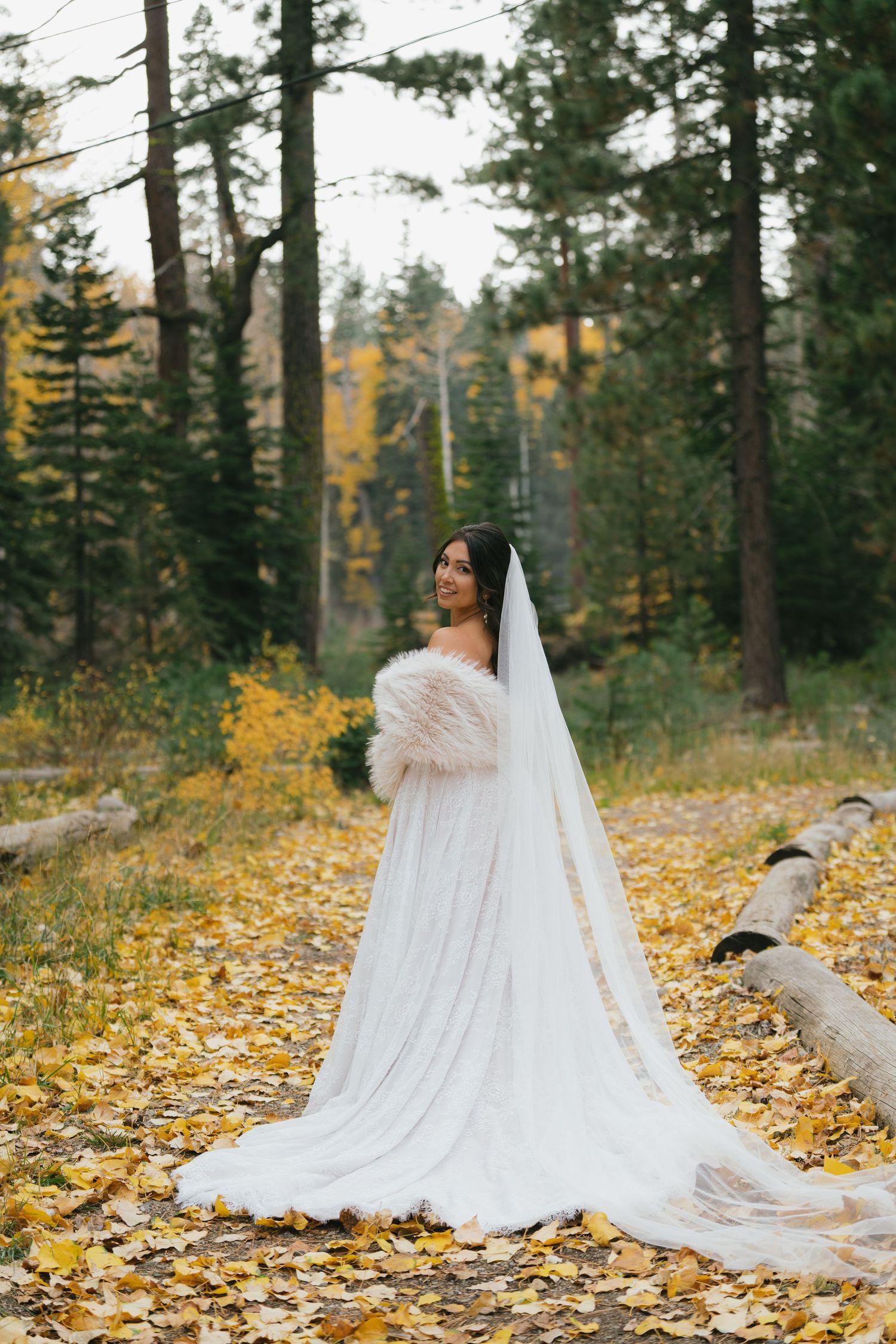 san diego wedding photographer lake tahoe elopement couple mountain portraits alpine wedding photography
