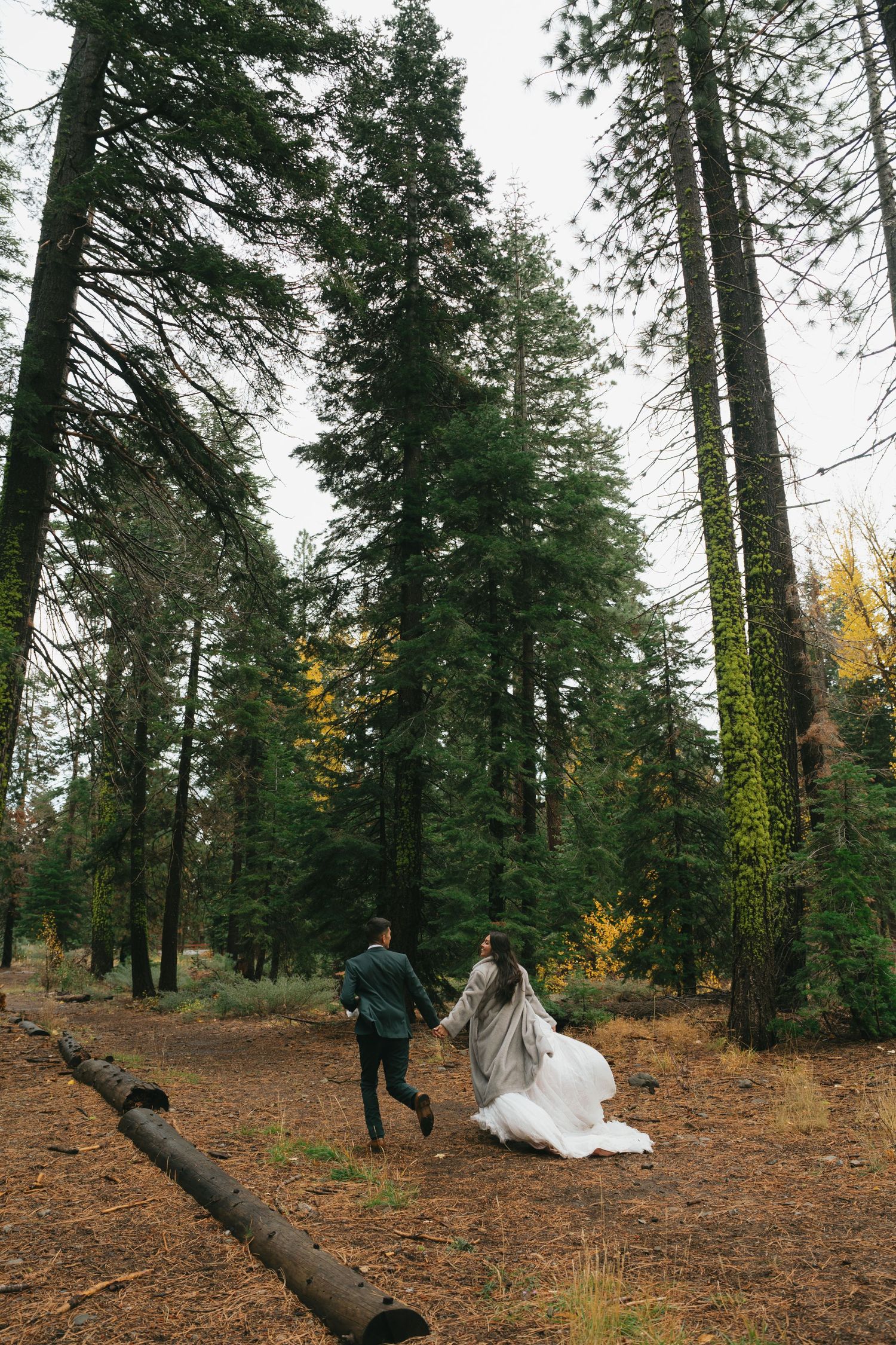 san diego wedding photographer lake tahoe elopement couple mountain portraits alpine wedding photography