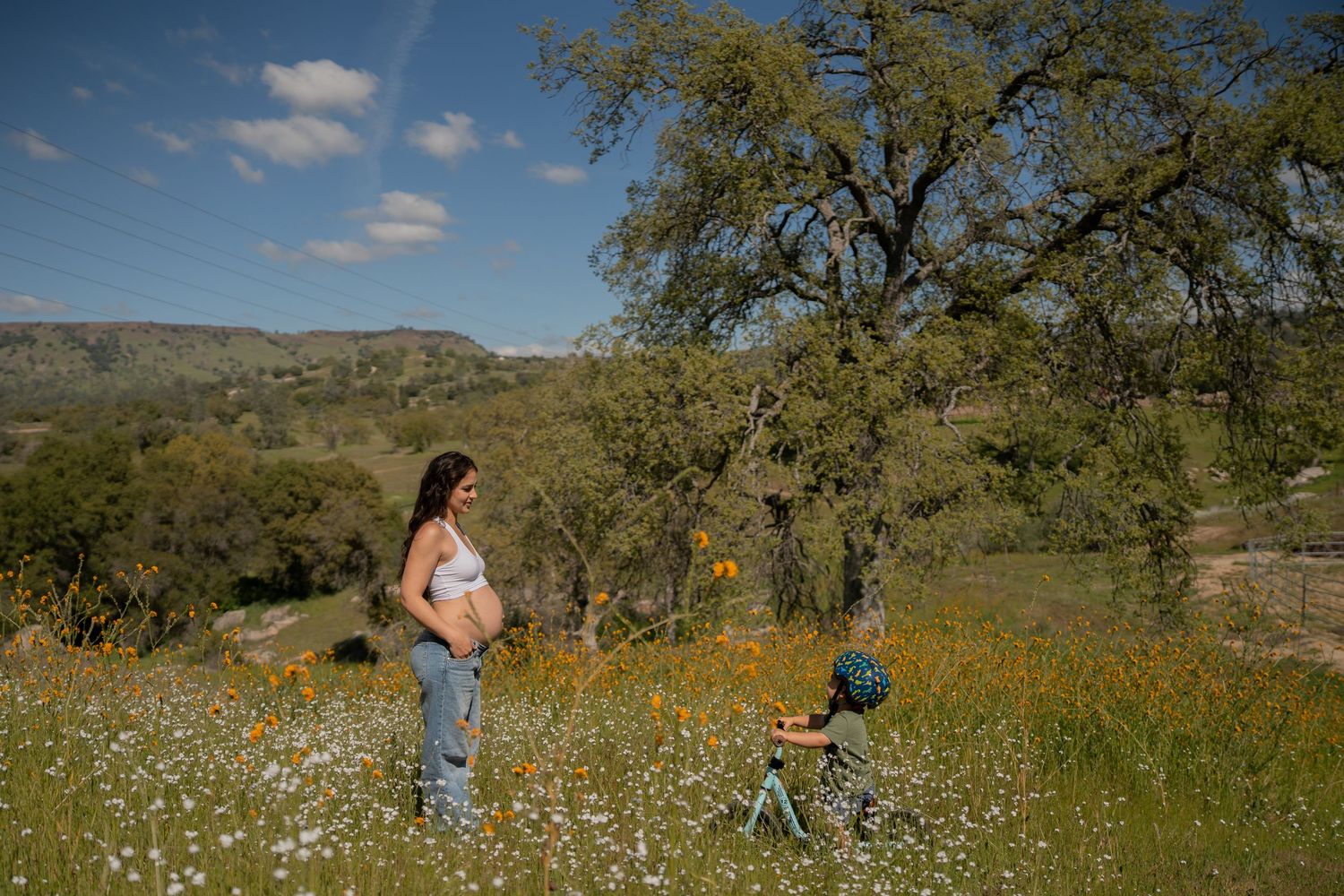 california maternity photography natural light portraits