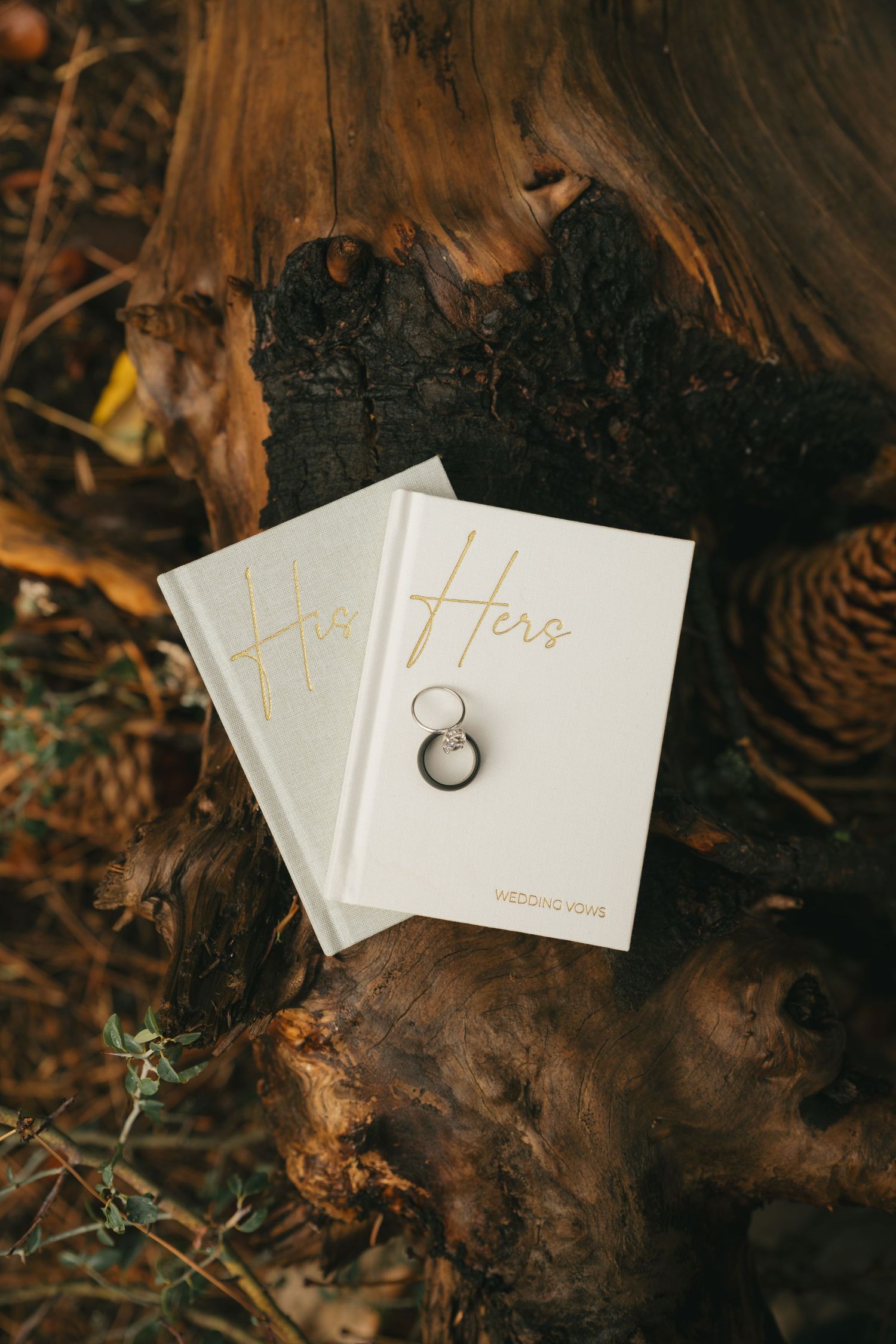 san diego wedding photographer lake tahoe elopement couple mountain portraits alpine wedding photography