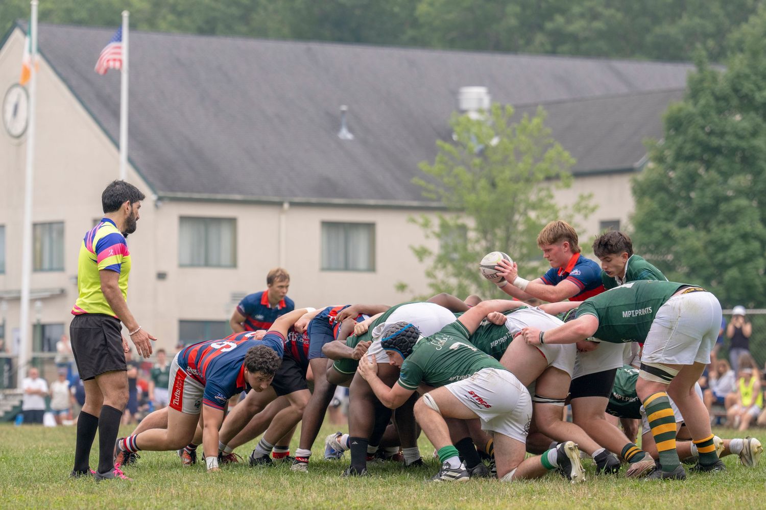 Rugby players engage in a scrum during a match on a green field, with a referee watching nearby.