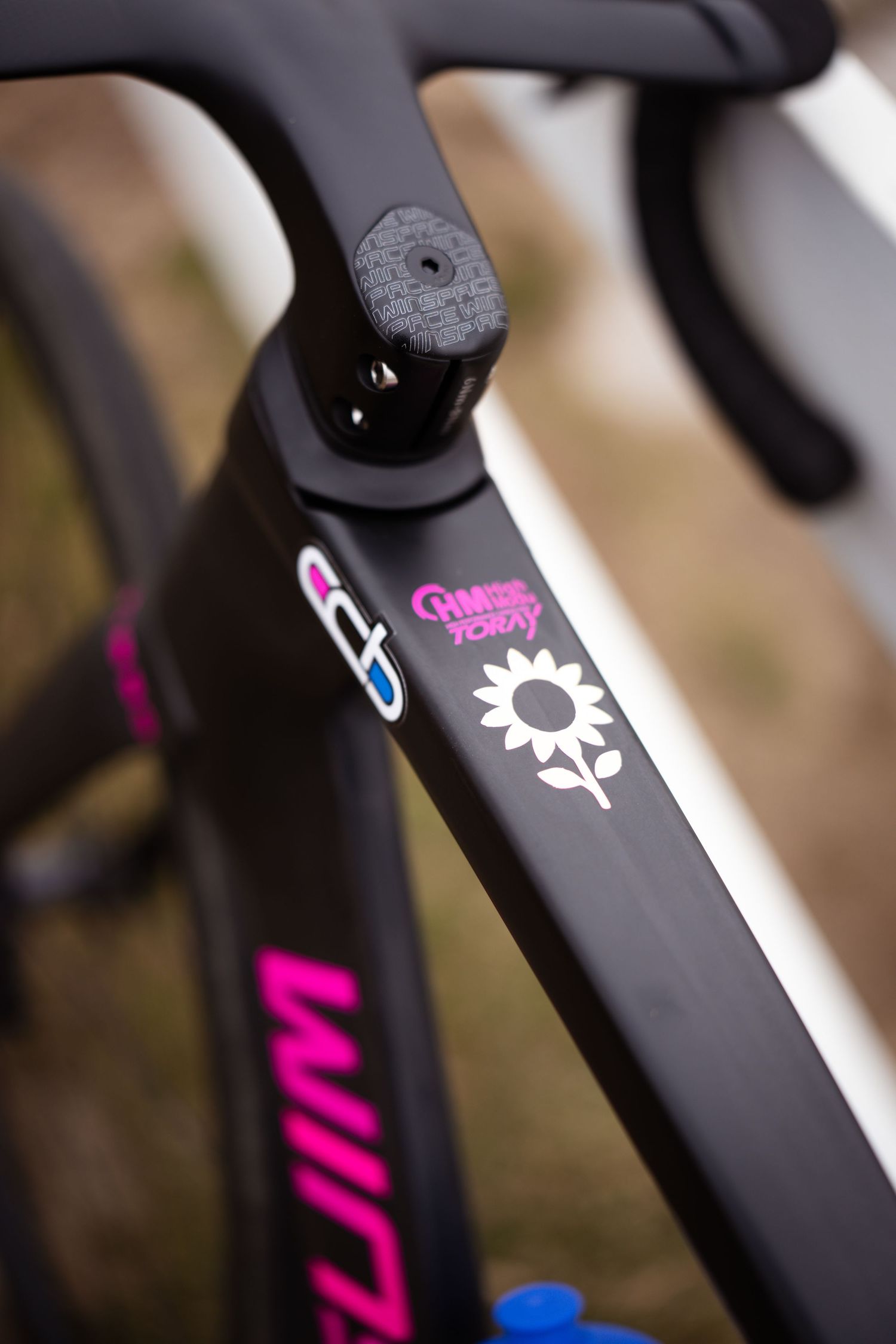 Close-up of Wilier road bike frame with pink logo and sunflower cancer awareness decal.