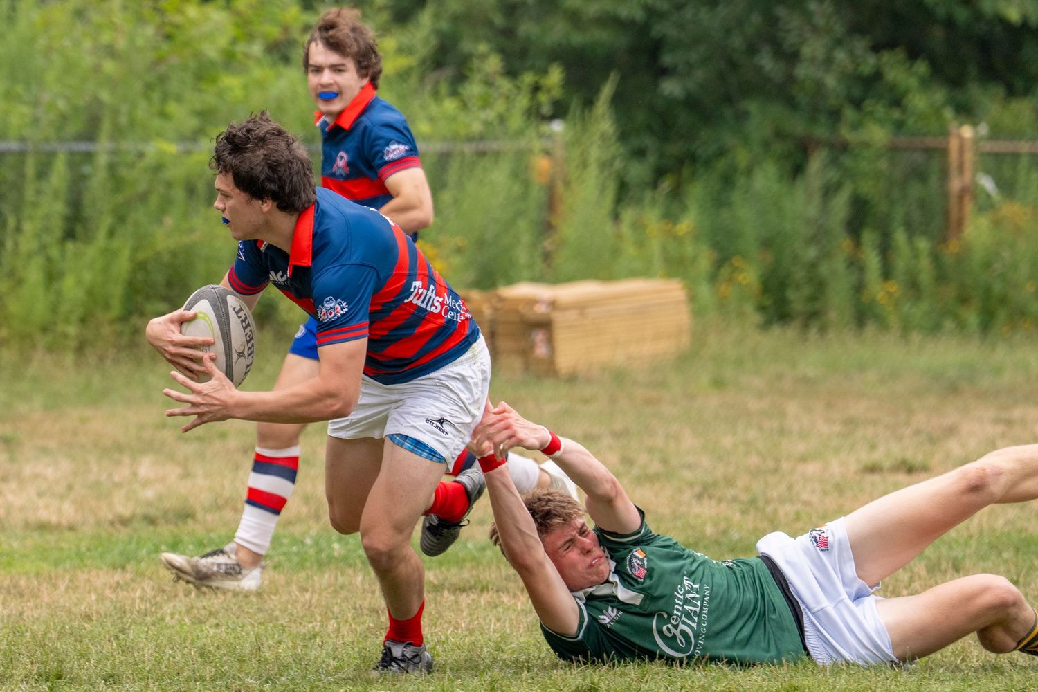 Rugby player in red and blue jersey breaks through tackle during outdoor match on grass field.