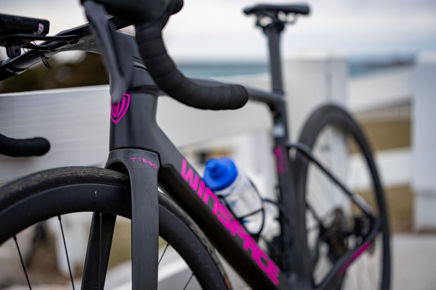 Close-up of black and pink Wilier road bike with ocean background.