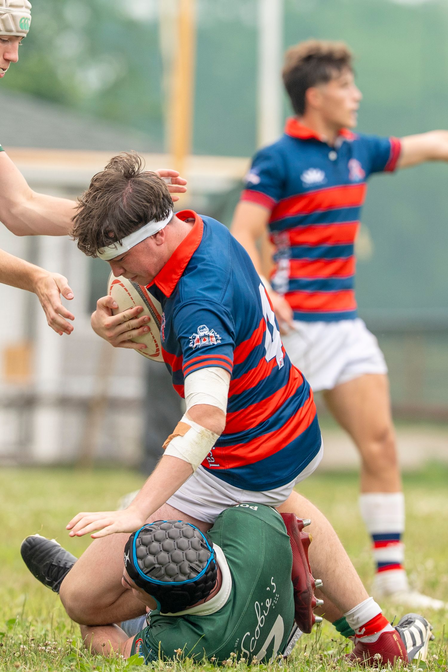 Rugby players in red and blue jerseys compete in an intense tackle during a youth rugby match on a grass field.