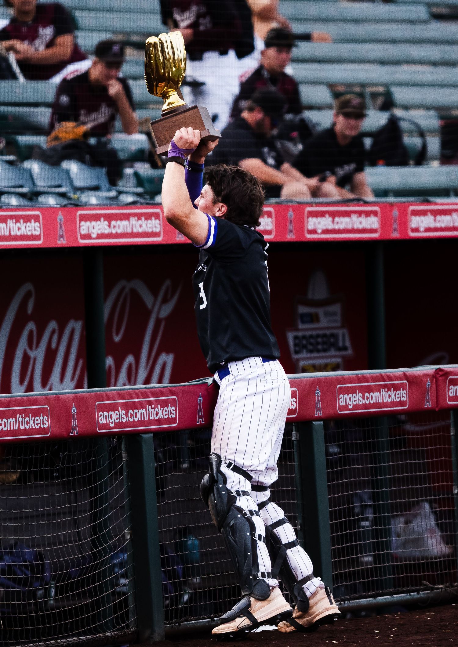 Baseball catcher in black pinstripe uniform raises golden trophy above head in celebration near dugout railing.