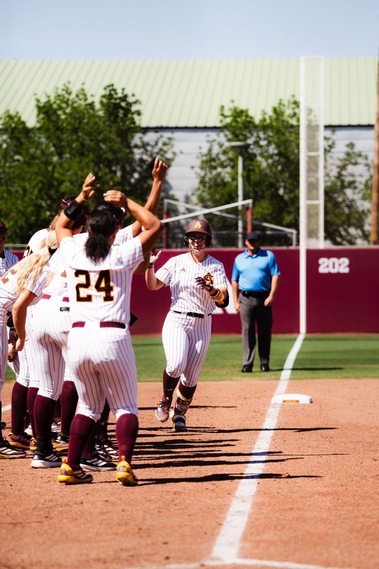 College softball players in maroon pinstripe uniforms celebrate with high fives along the baseline after scoring.