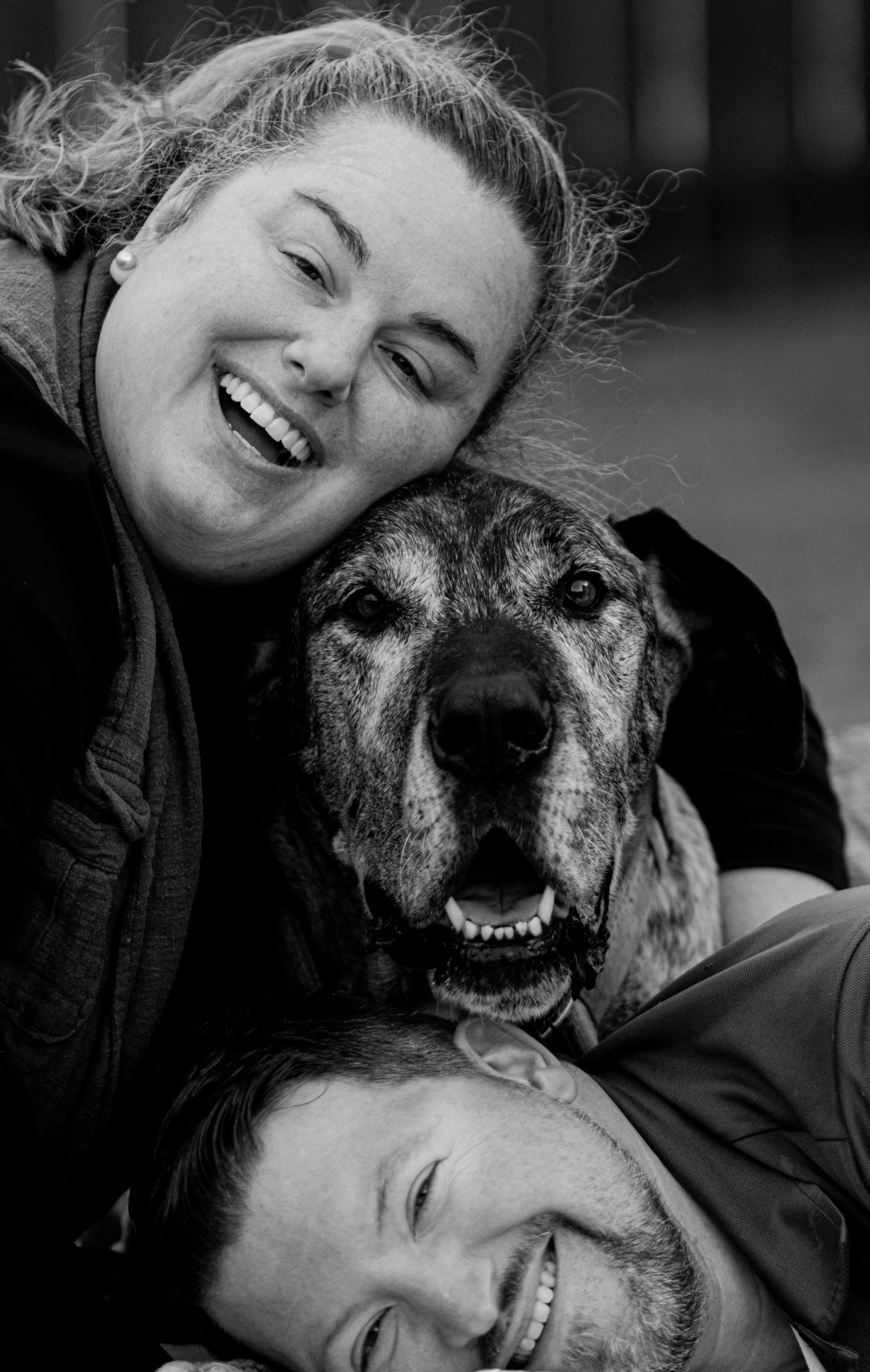 mini session, family session, EOL Pet session