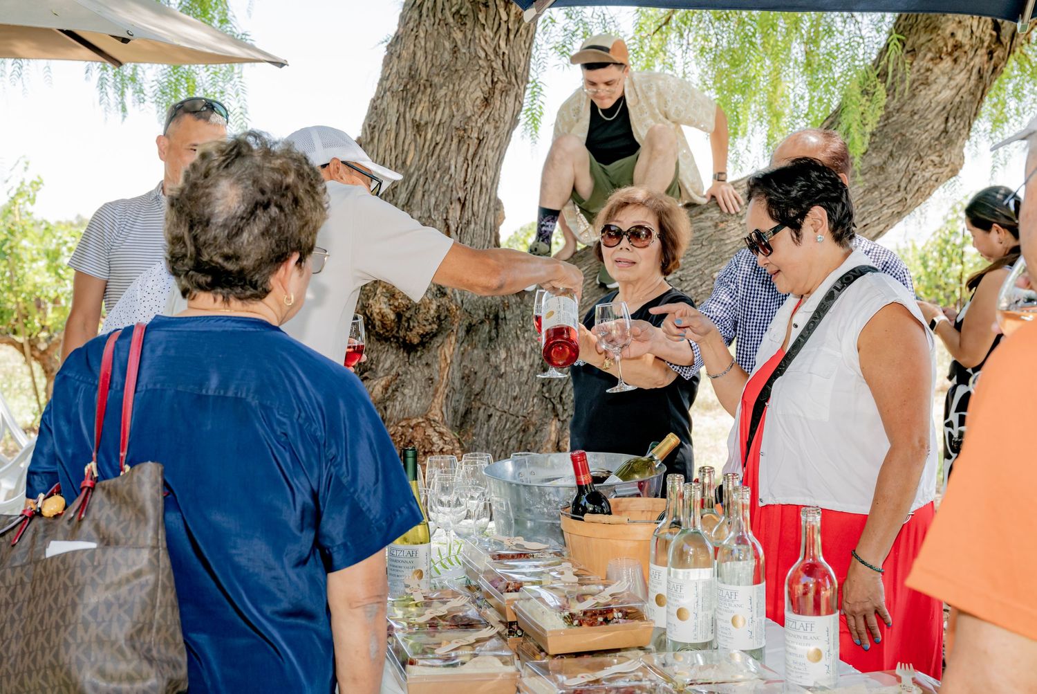 Outdoor wine tasting event with guests sampling wines at a rustic table under shady trees on a sunny day.