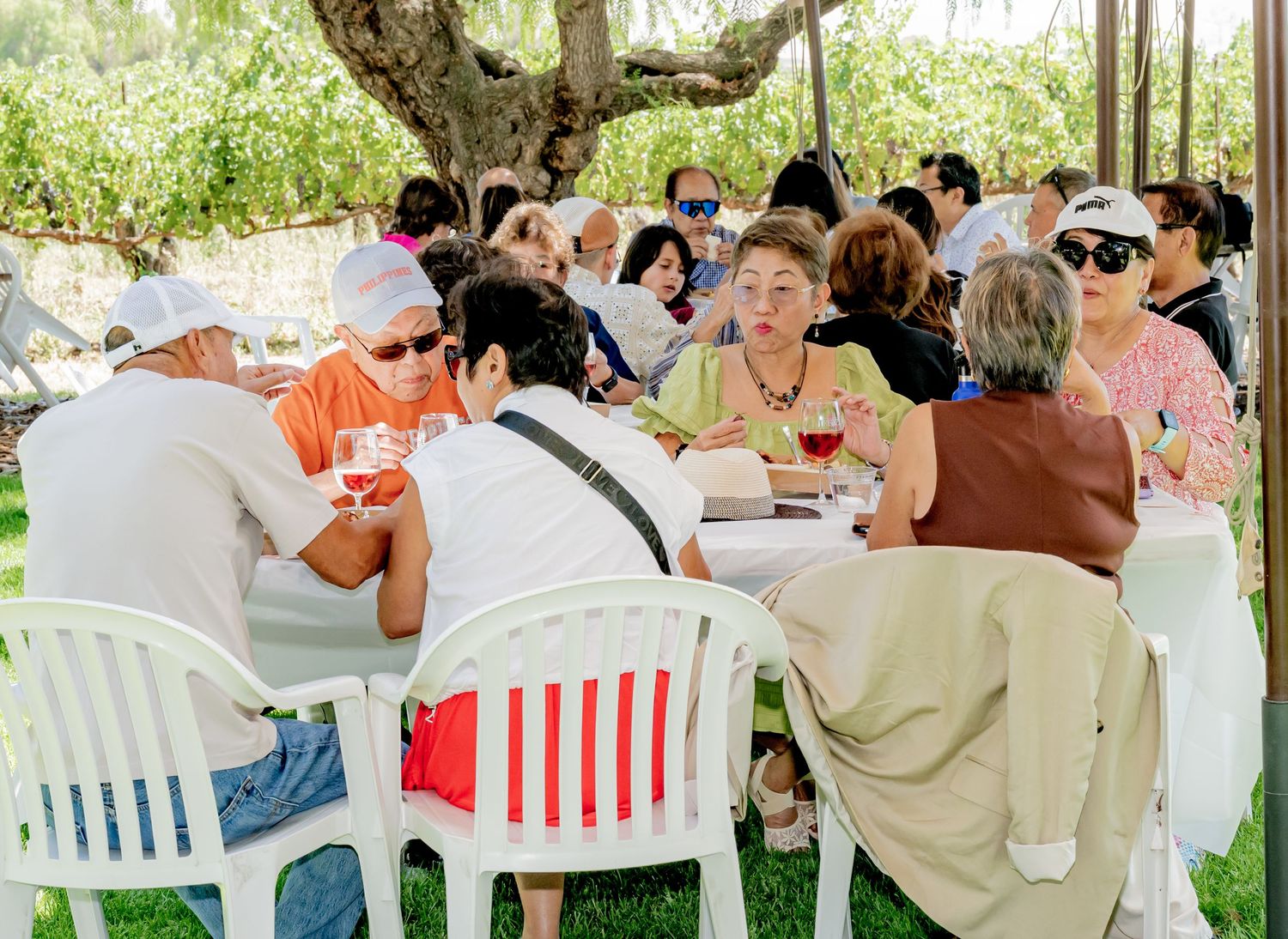 Group of people dining outdoors at white tables under a tree at a sunny garden gathering.