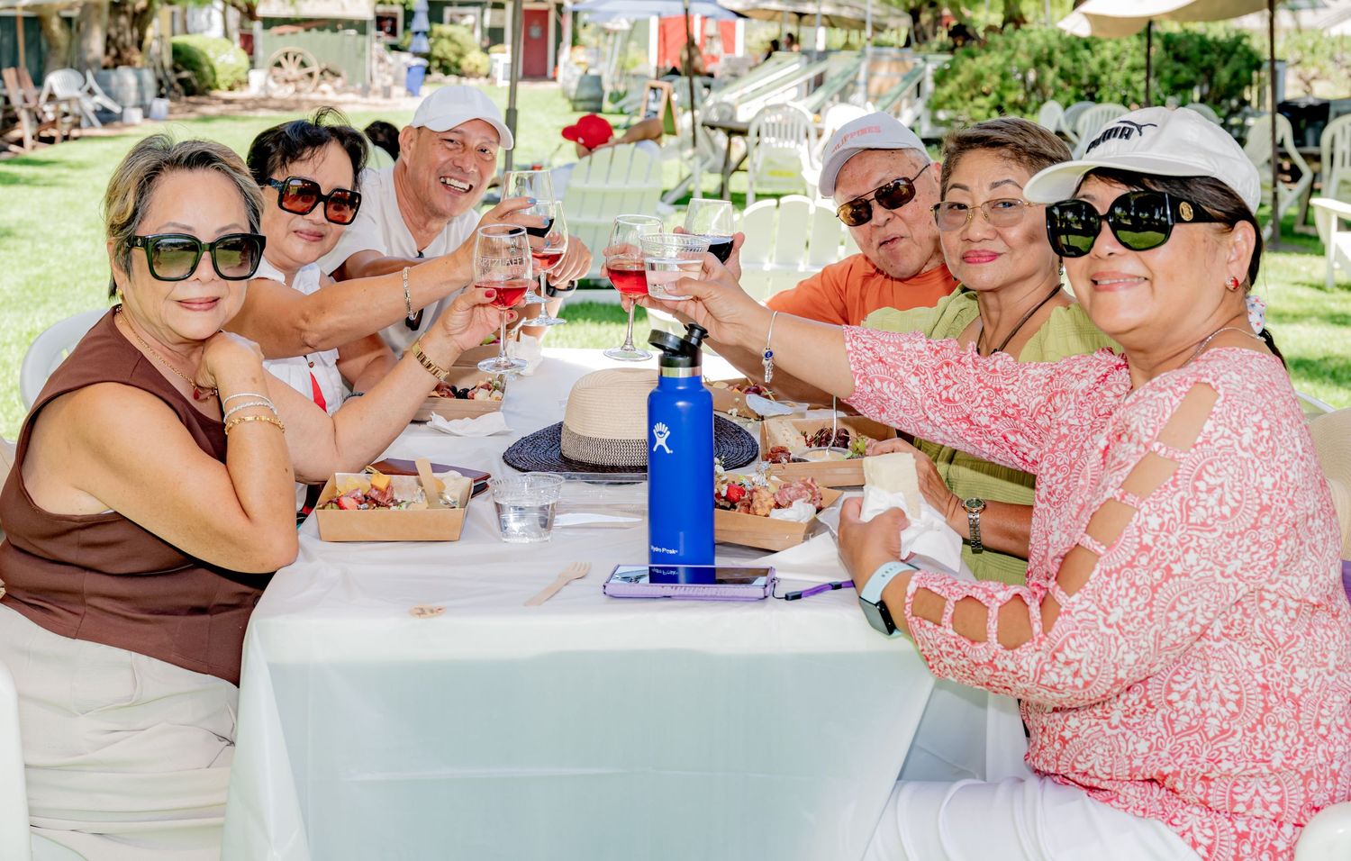 Group of friends toasting with wine glasses at outdoor restaurant table on sunny day.