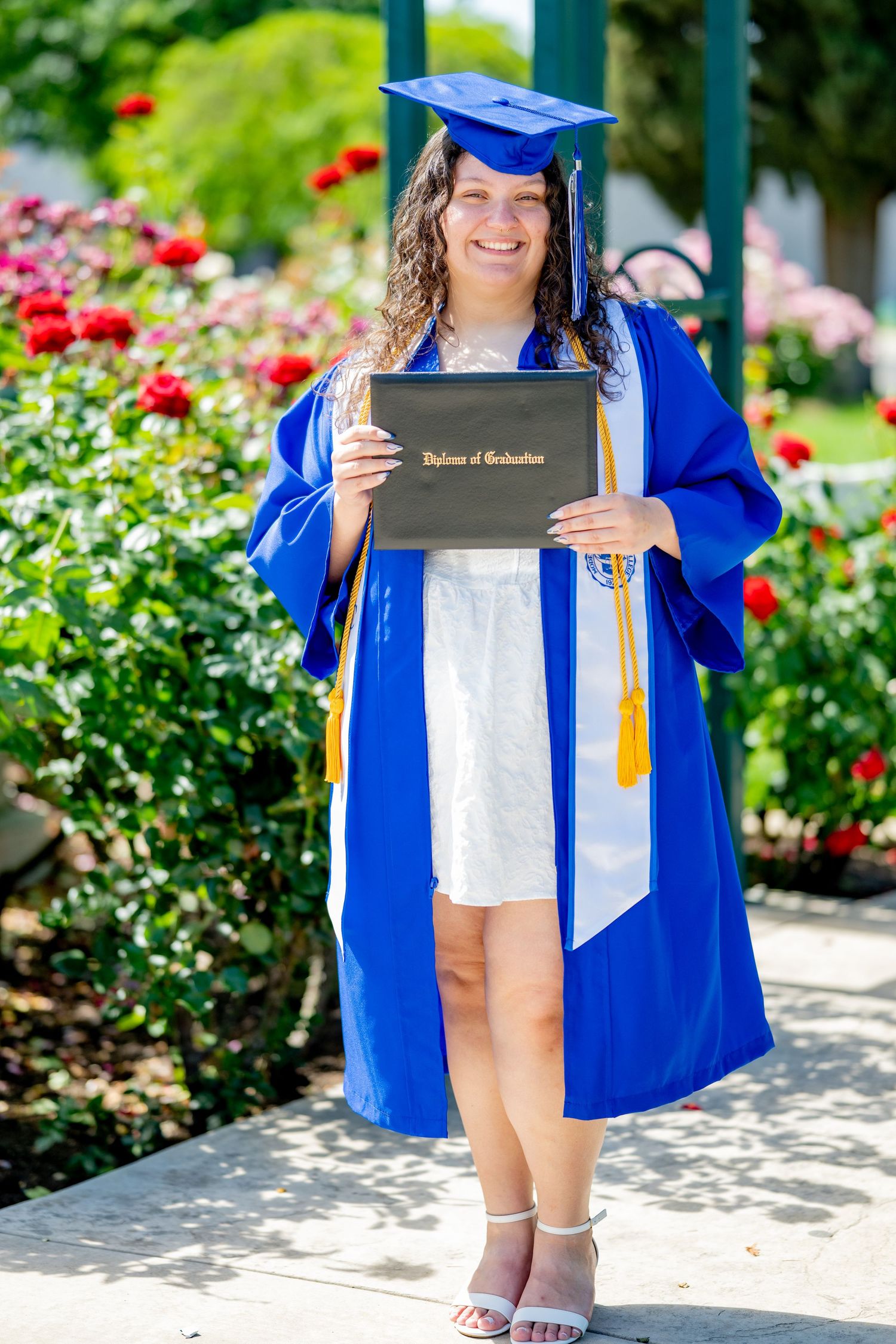 Graduate in blue cap and gown holds up her Diploma of Graduation among rose bushes.