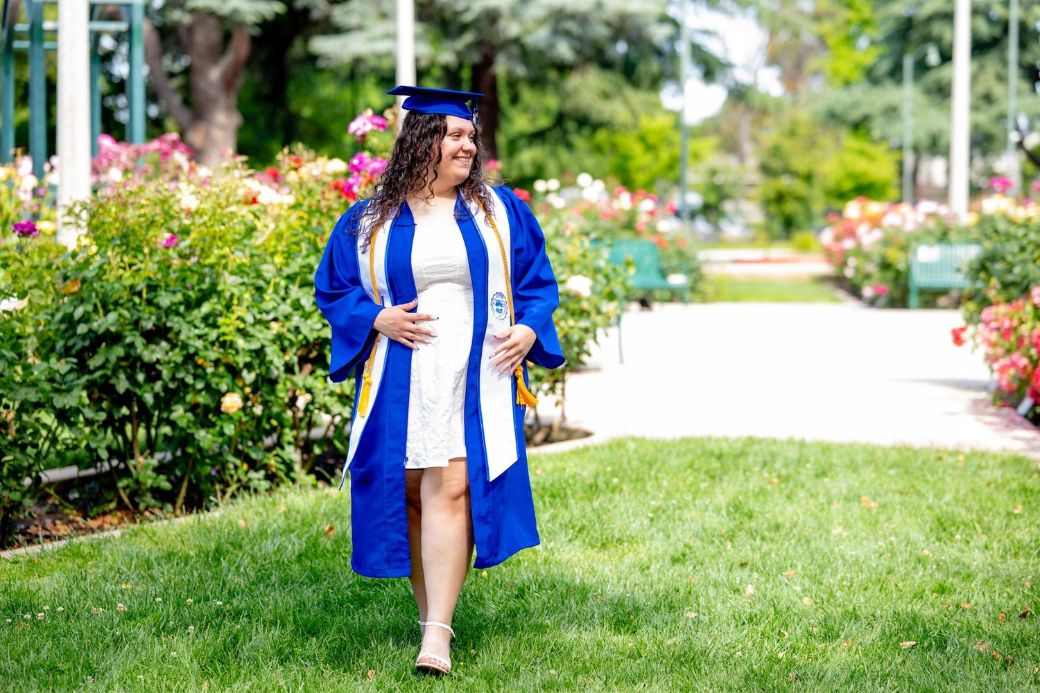 Graduate in blue regalia walks gracefully through a blooming rose garden pathway.