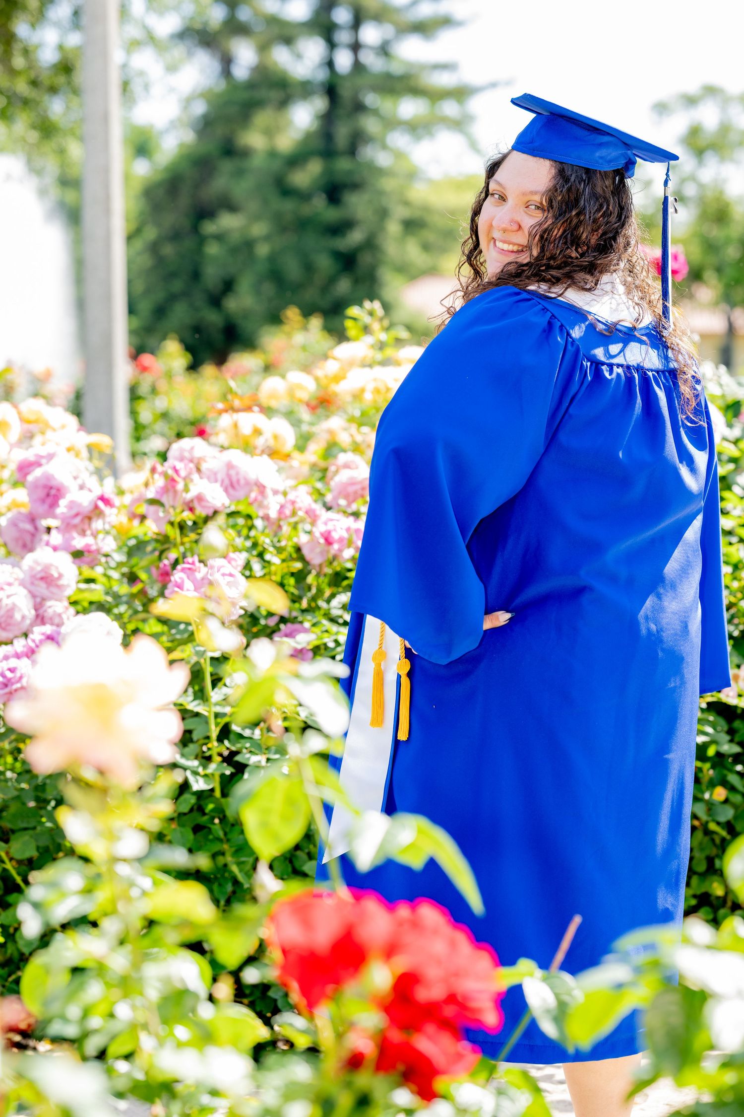 Female graduate in blue cap and gown walking through colorful rose garden looking back.