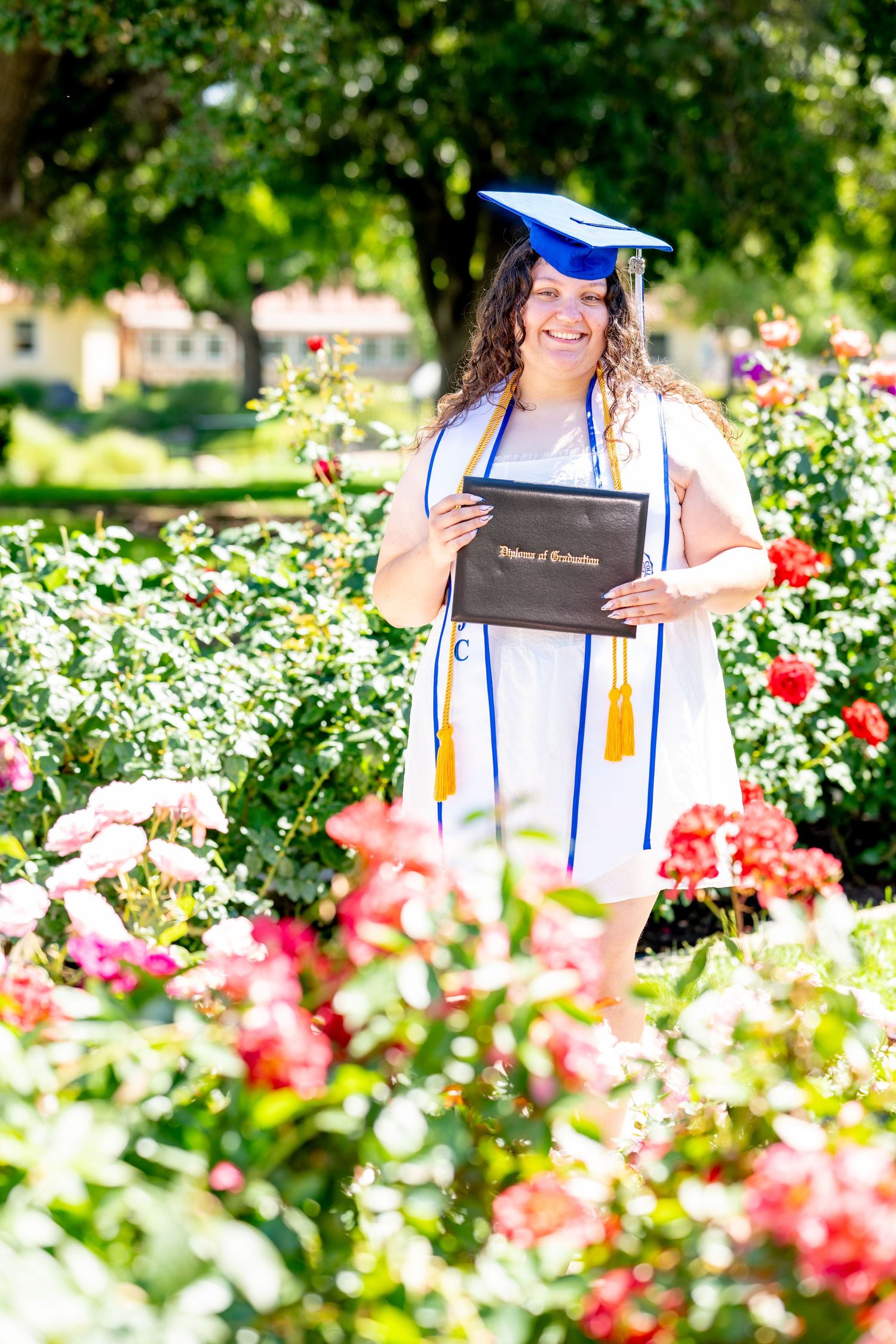 Joyful female graduate in white dress and blue cap holding diploma in blooming rose garden.