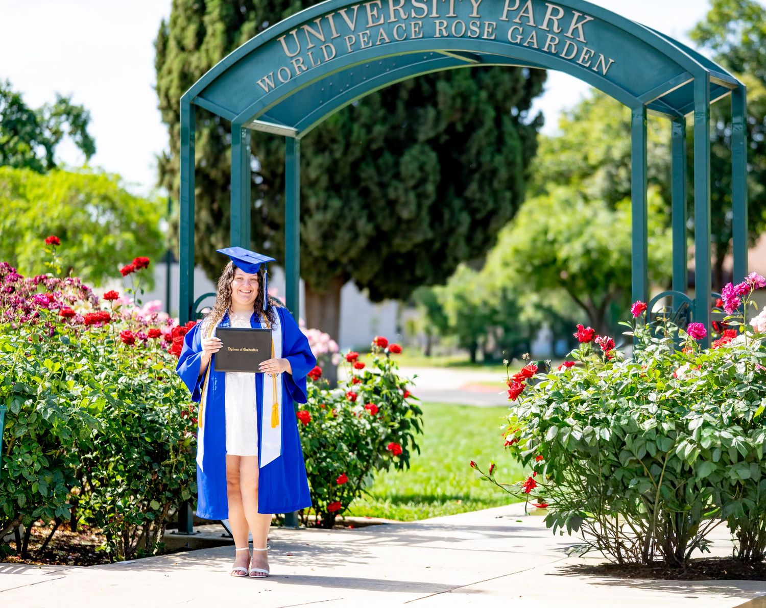 Graduate walks under University Park World Peace Rose Garden archway holding diploma.