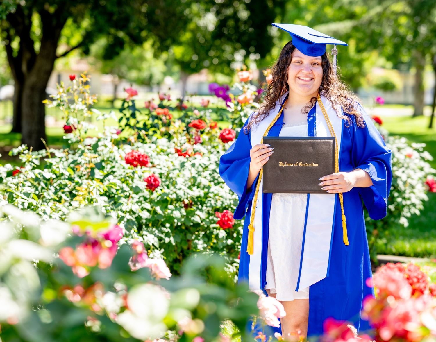 Female graduate in blue cap and gown proudly holding diploma among colorful rose bushes.