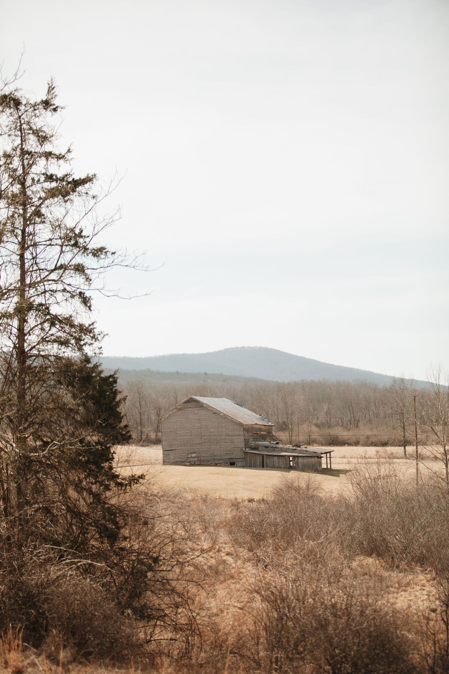 Rustic wooden barn sits in a dry open field with mountains and bare trees in the background.