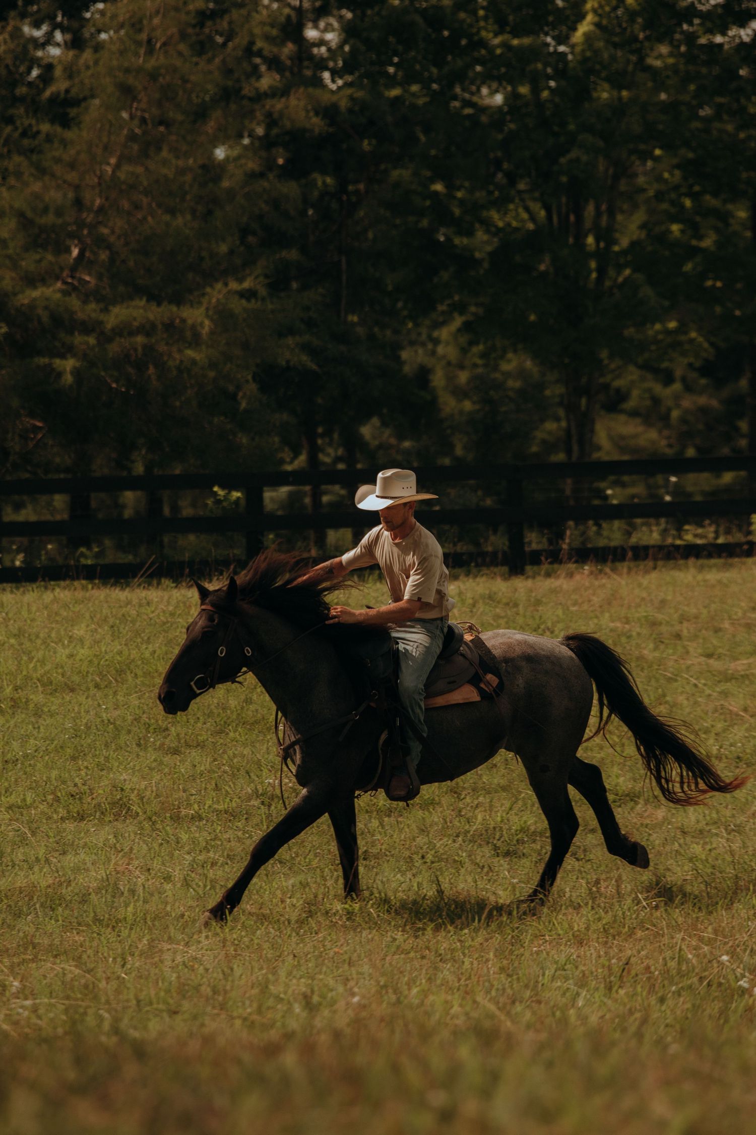 Cowboy in white hat galloping on dark horse across green pasture with wooden fence and trees behind.