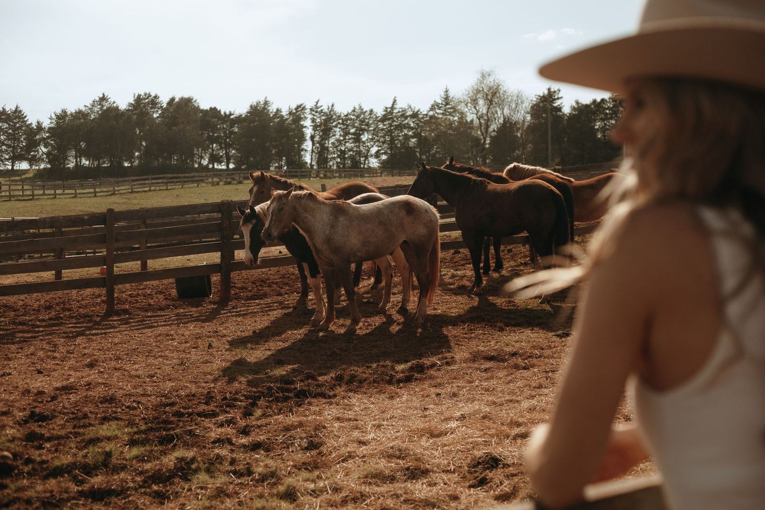 Woman in straw hat walking toward horses grazing in a sunny ranch paddock.