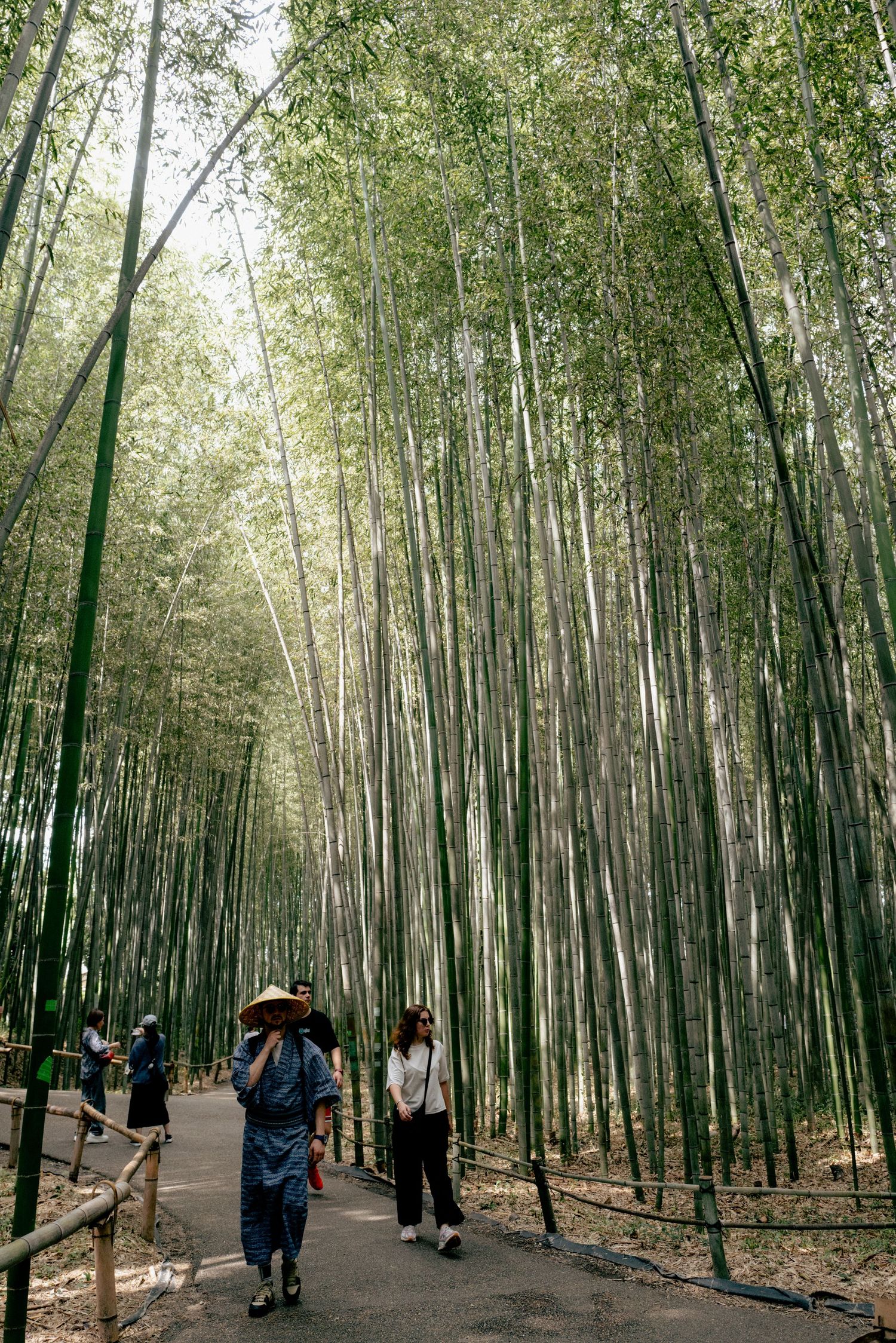Bambusowy las i spacerujący ludzie, fotografia podróżnicza, Japonia; Kyoto