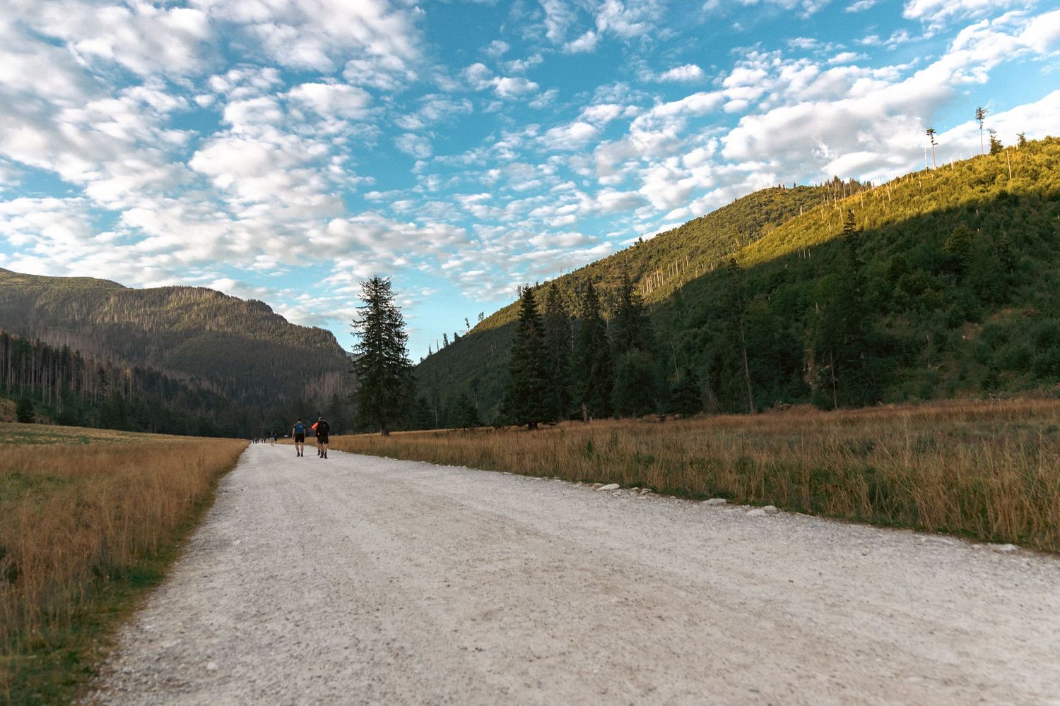 Szutrowa droga w górach z widokiem na Tatry, łąka i las w tle