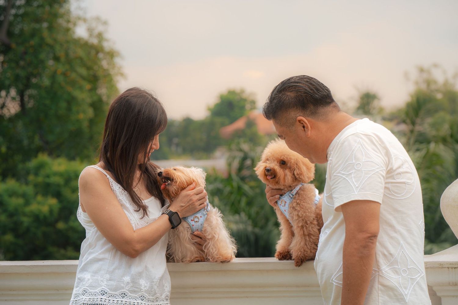 Couple in white outfits holding two fluffy dogs on a balcony with green trees in the background.