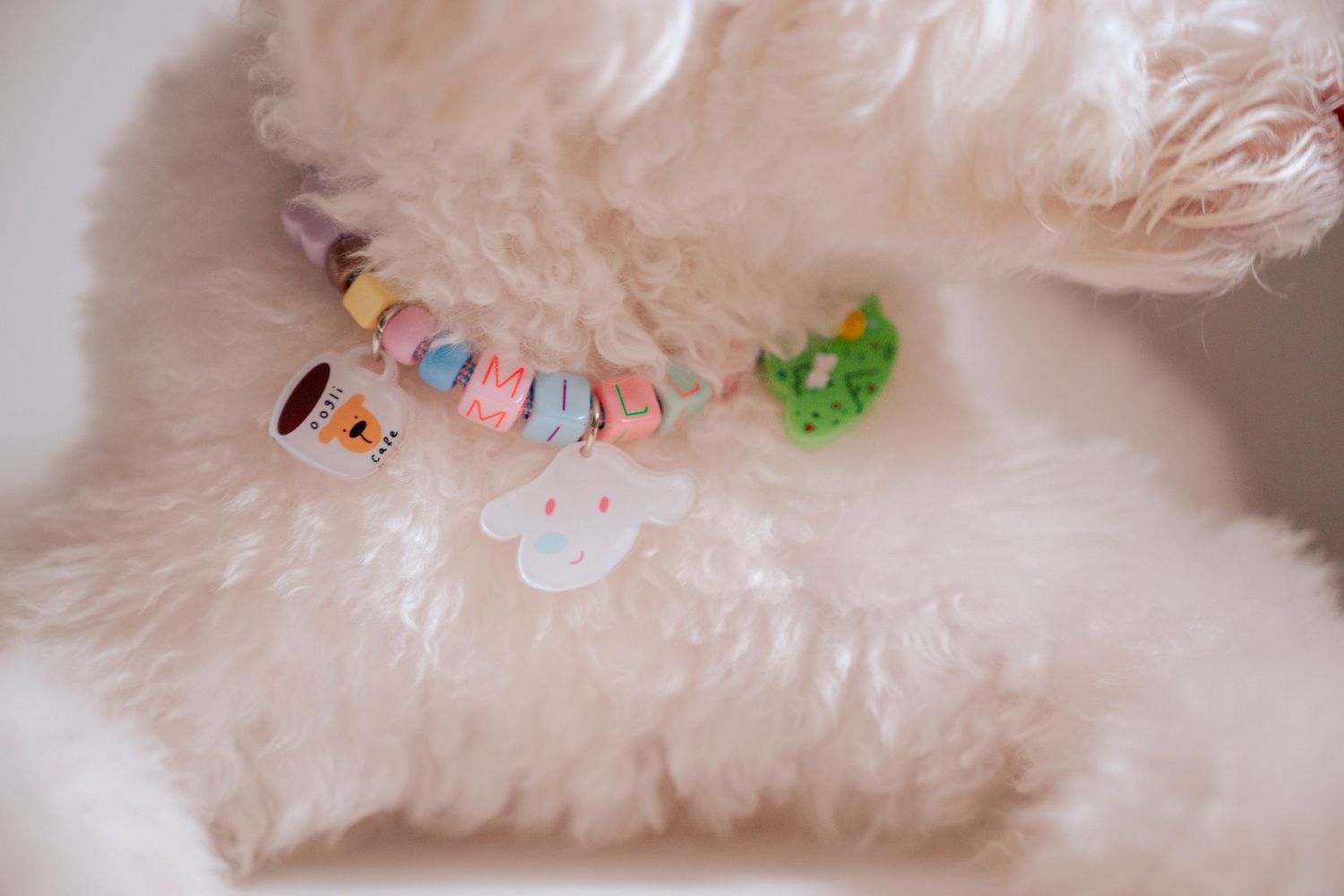 White dog wearing colorful beaded collar with decorative elements.