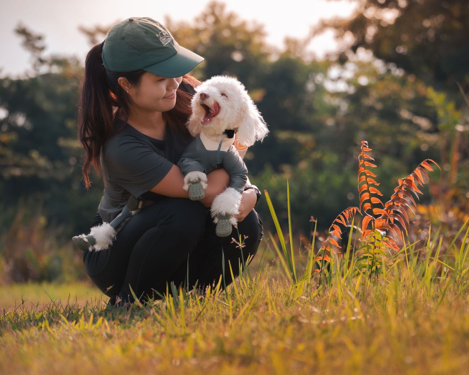 Small white dog being held in grassy field with orange wildflowers at golden hour.