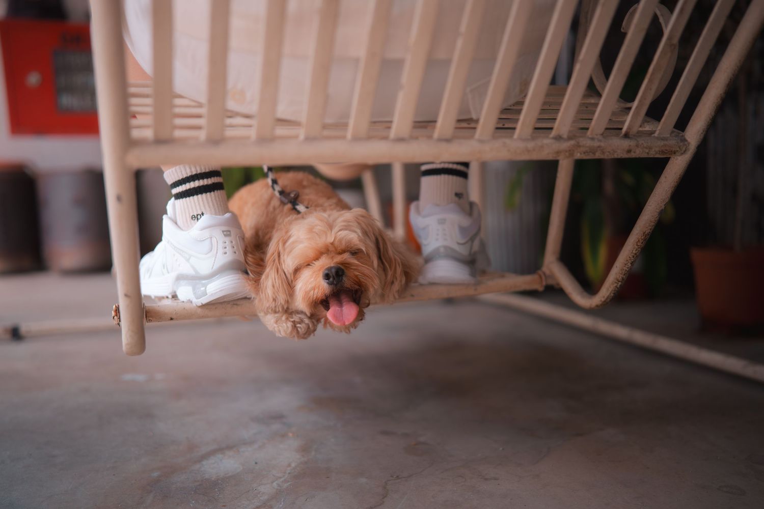 A ginger cat sprawls out comfortably on a wooden floor near a staircase.