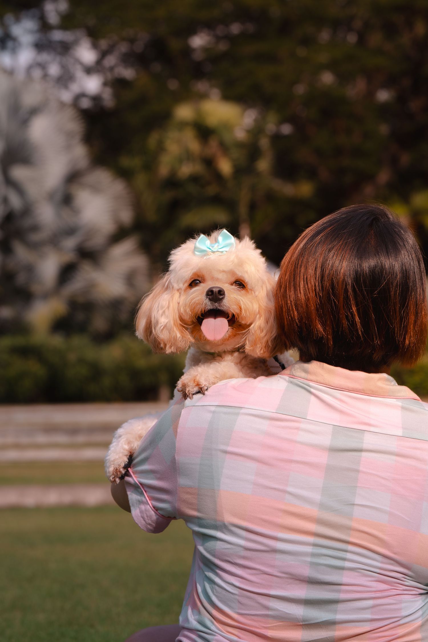 Woman holding a fluffy Maltipoo dog with a blue bow outdoors in a green park setting.
