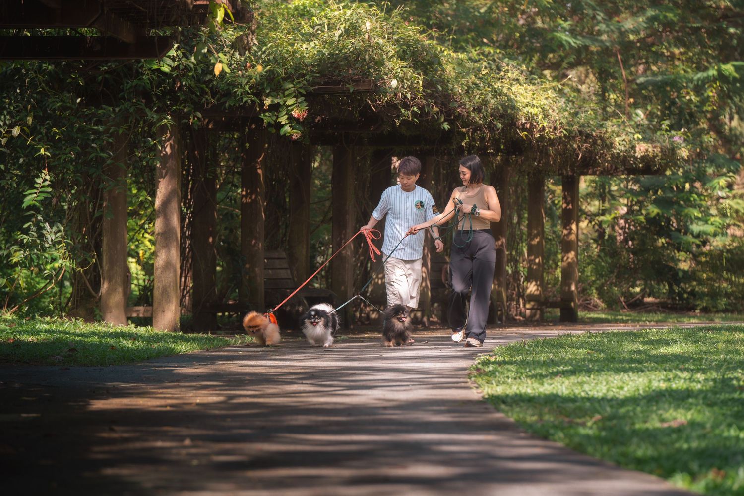 People walking and jogging along a tree-lined path in a park on a sunny summer day.