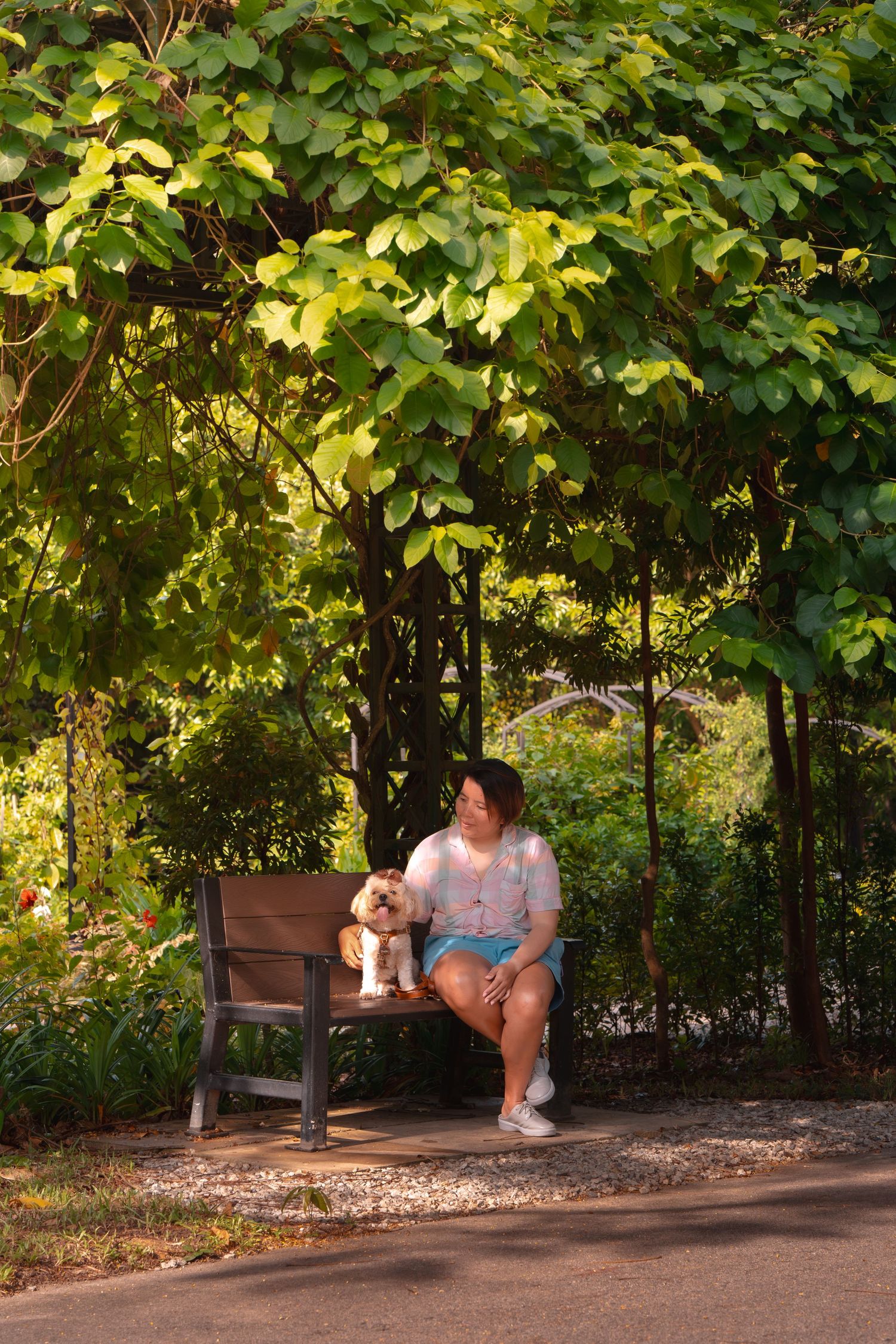 Woman sitting on a wooden bench with a small dog in a lush green garden park on a sunny day.