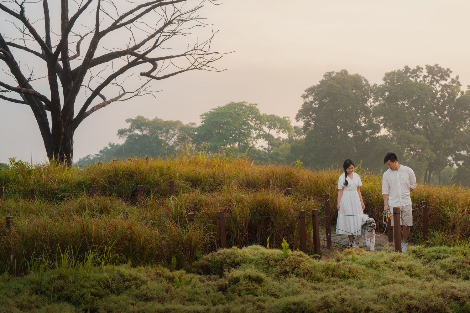 Two people in white clothing walk through a misty meadow at dusk near a bare tree and lush greenery.