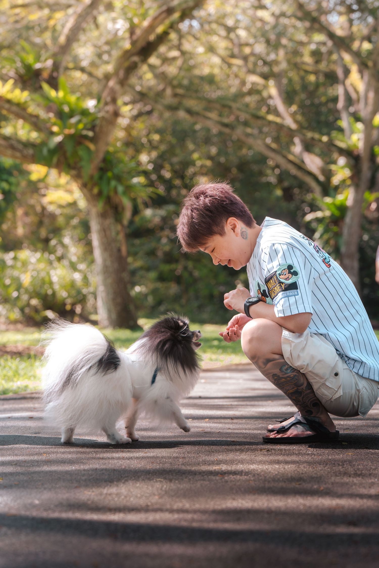 A young boy in a striped shirt crouches down to interact with a small white Japanese Chin dog on a path in a park.