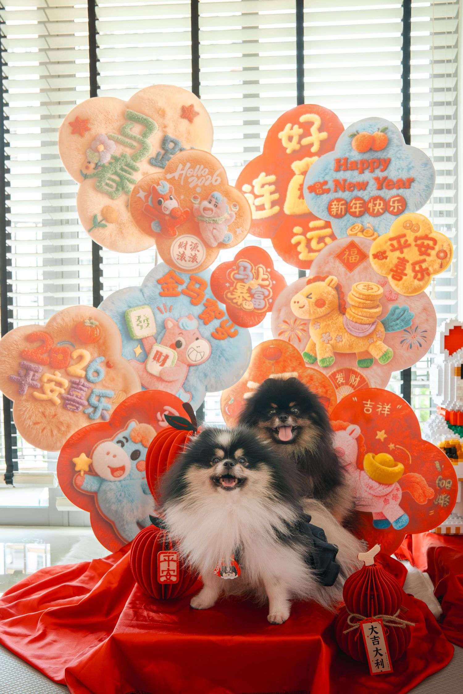 Fluffy Pomeranian dog posing with colorful Chinese New Year decorations and Happy New Year text on red backdrop.