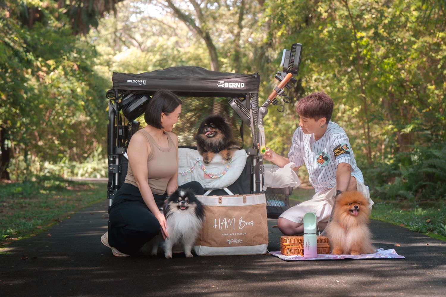 Couple with three Pomeranian dogs beside a pet stroller and HiHi Box treats on a park path.